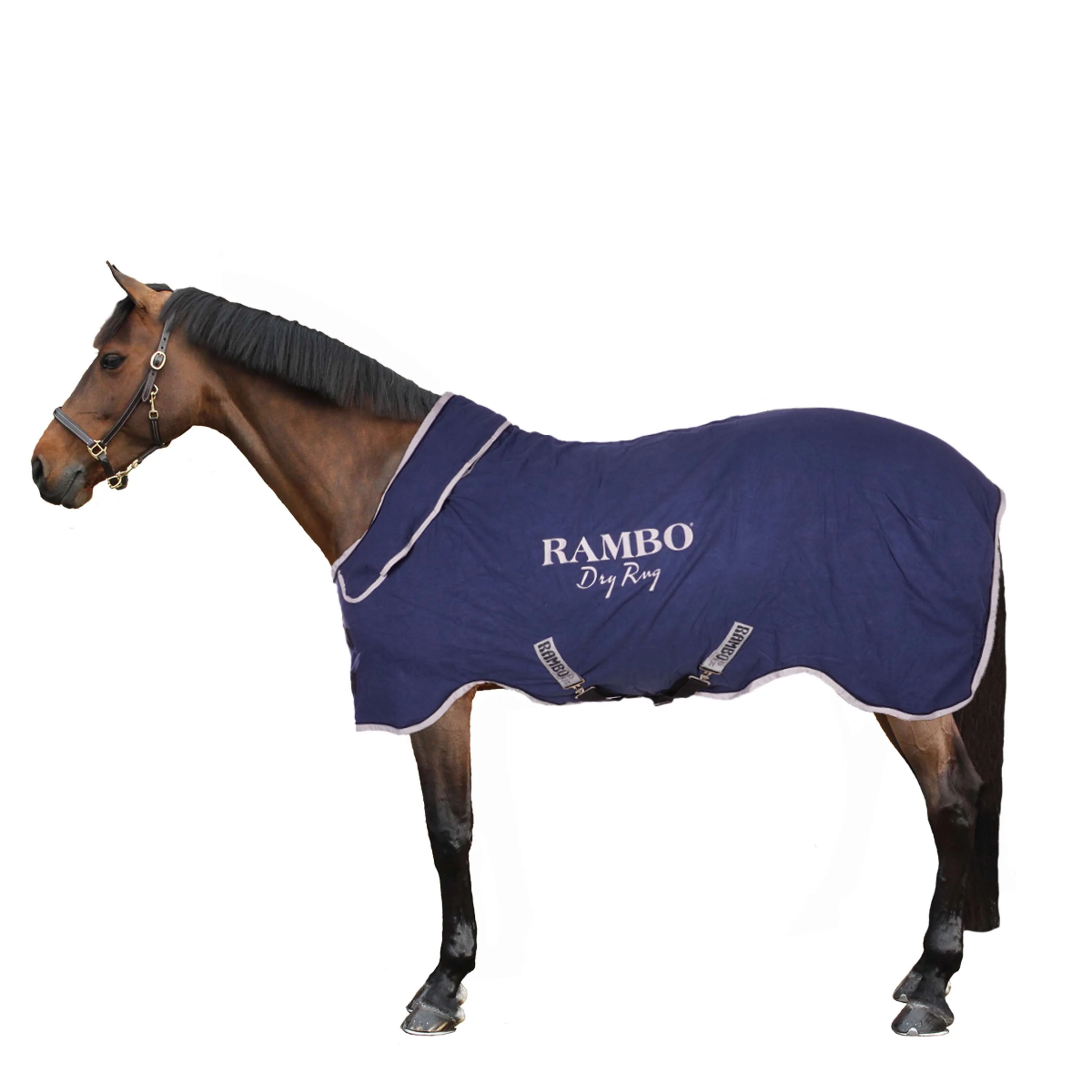 Rambo Coperta antisudore Supreme Blu marino/Argento - Image 3