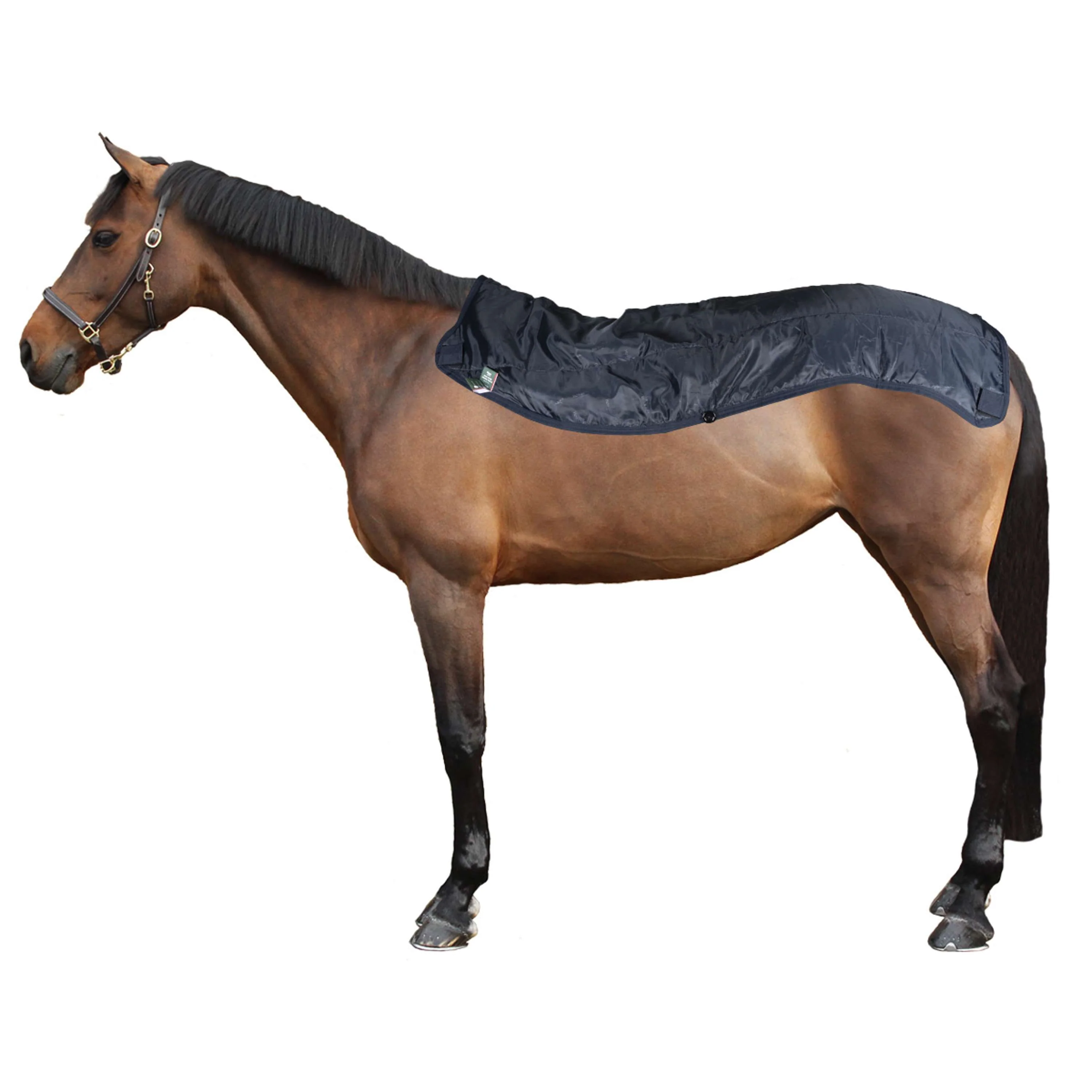 Rambo Turnout 0g Summer Series Blu marino/grigio - Image 4