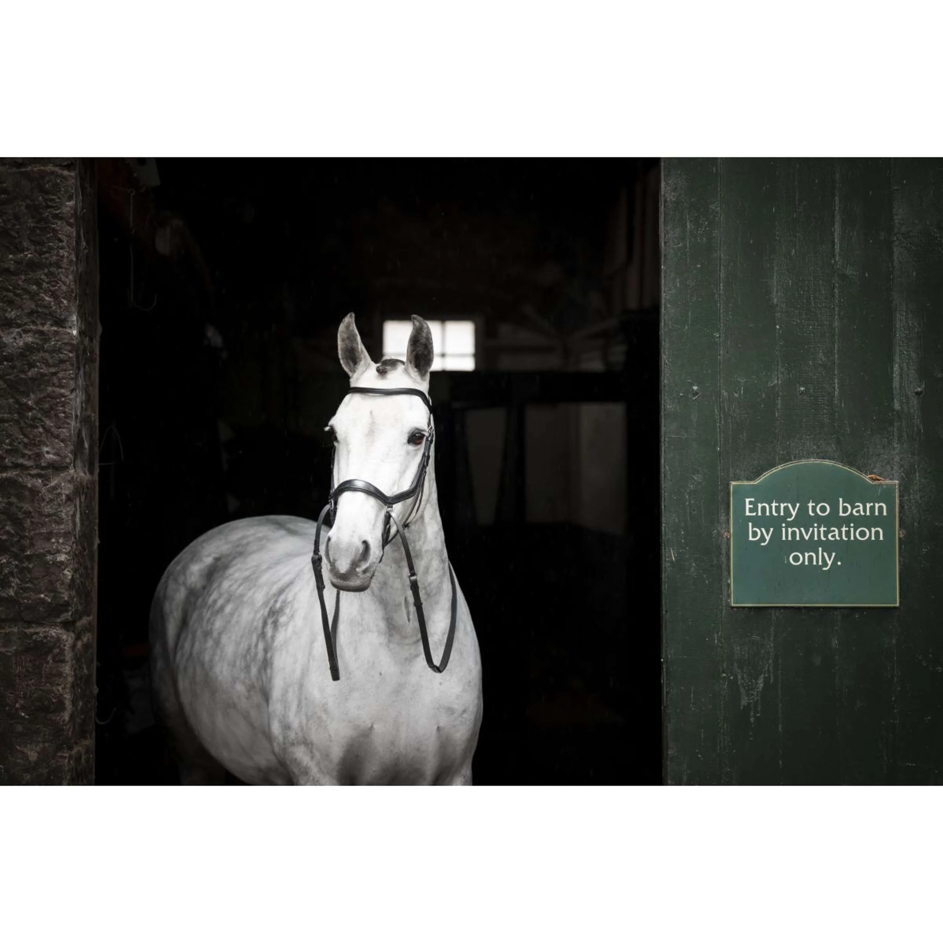 Horseware Micklem Bitless Bridle Nero - Image 2
