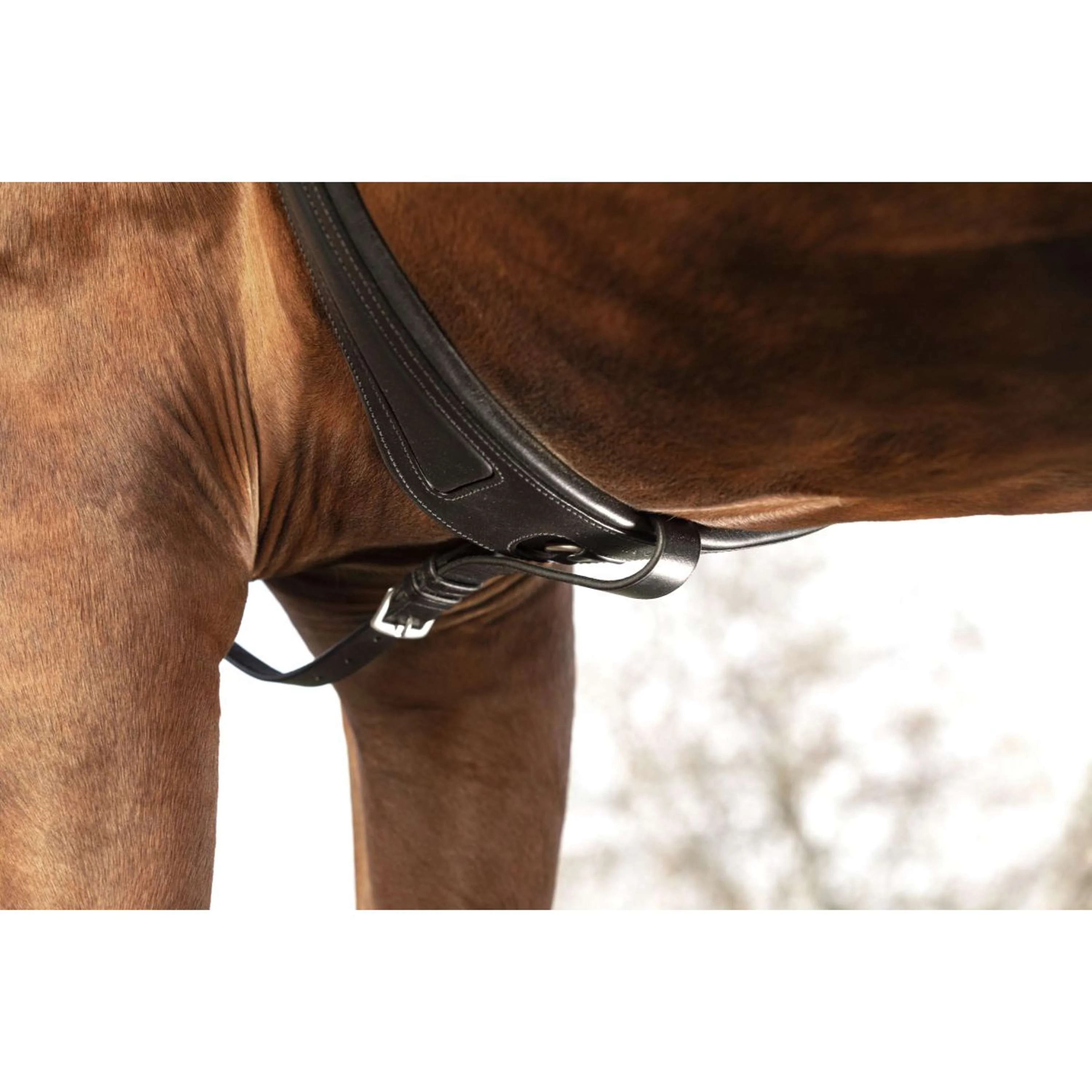 Horseware Micklem Pettorina con martingala Nero - Image 3