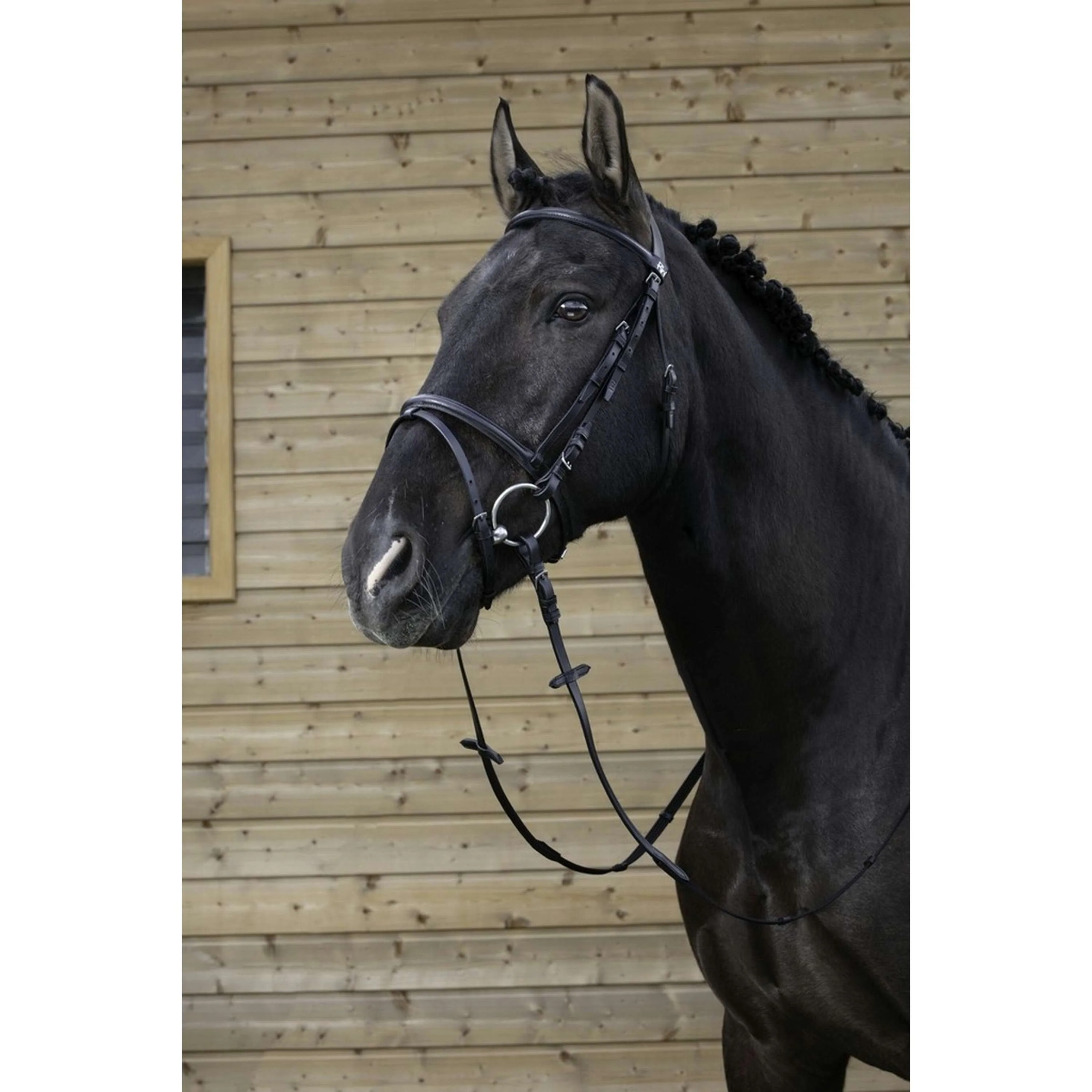 Riding World Briglia Nero