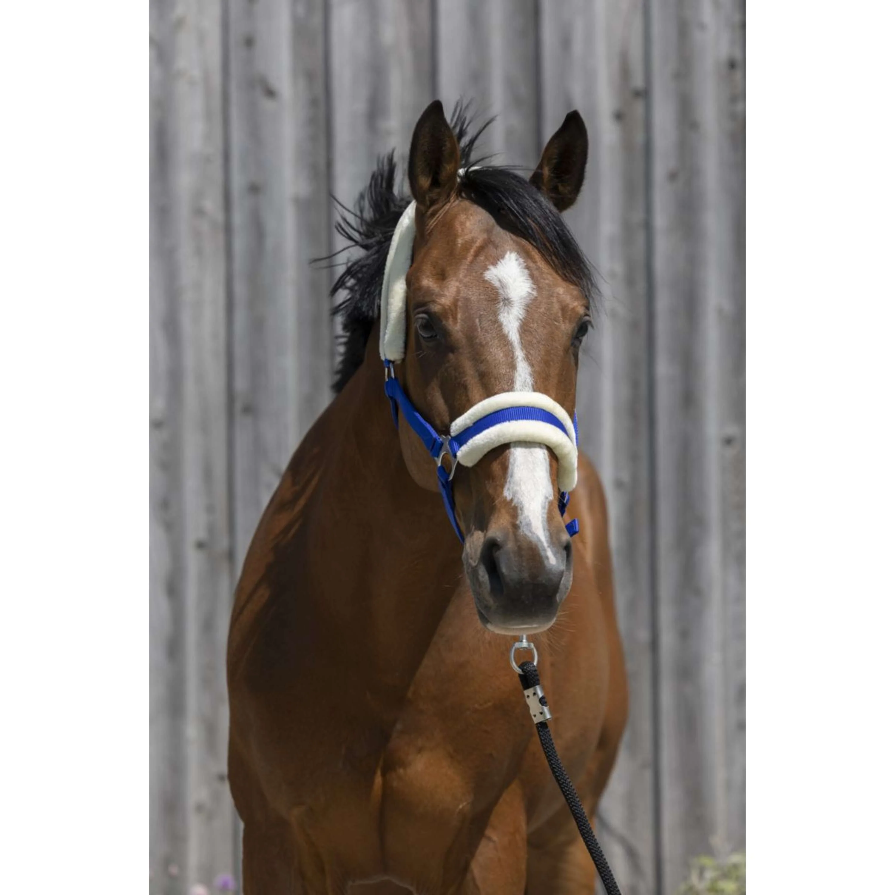 Riding World Cavezza Synthetic Fur Blu