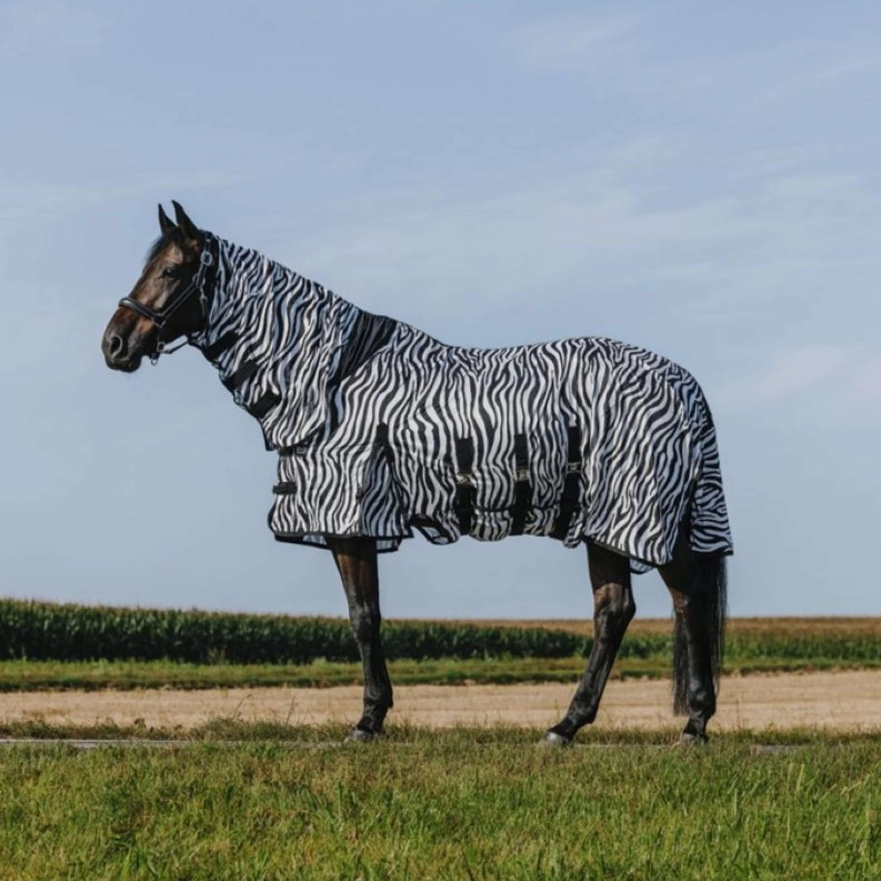 Riding World Coperta Antimosche Belly Mesh Combo Zebra