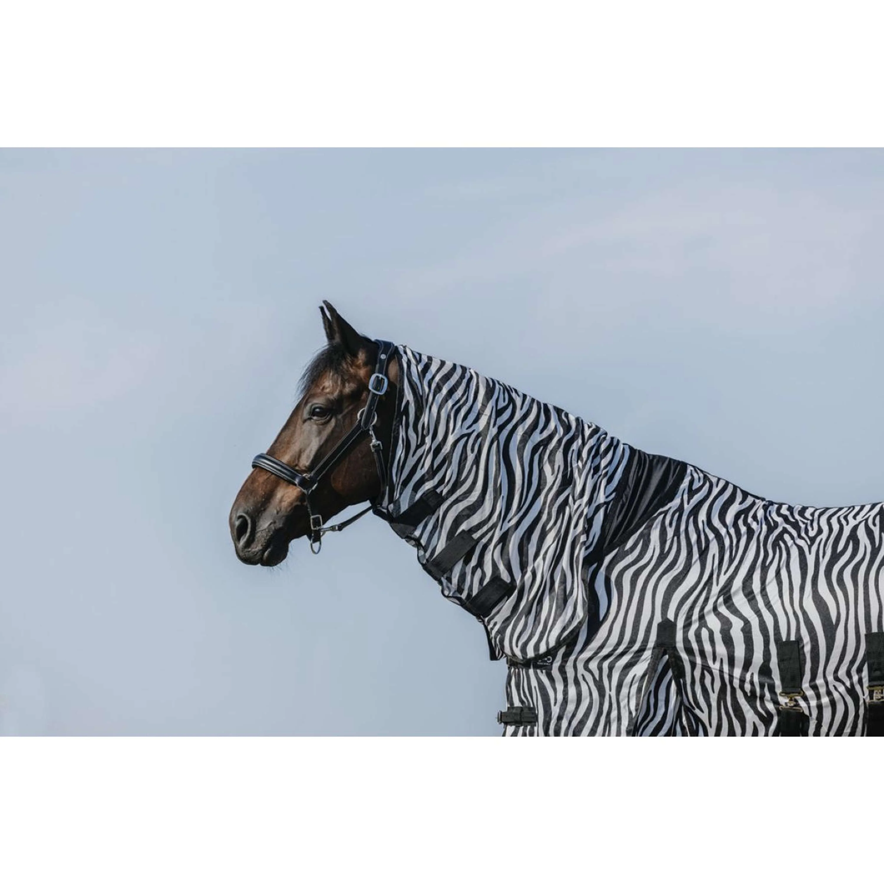 Riding World Coperta Antimosche Belly Mesh Combo Zebra - Image 2