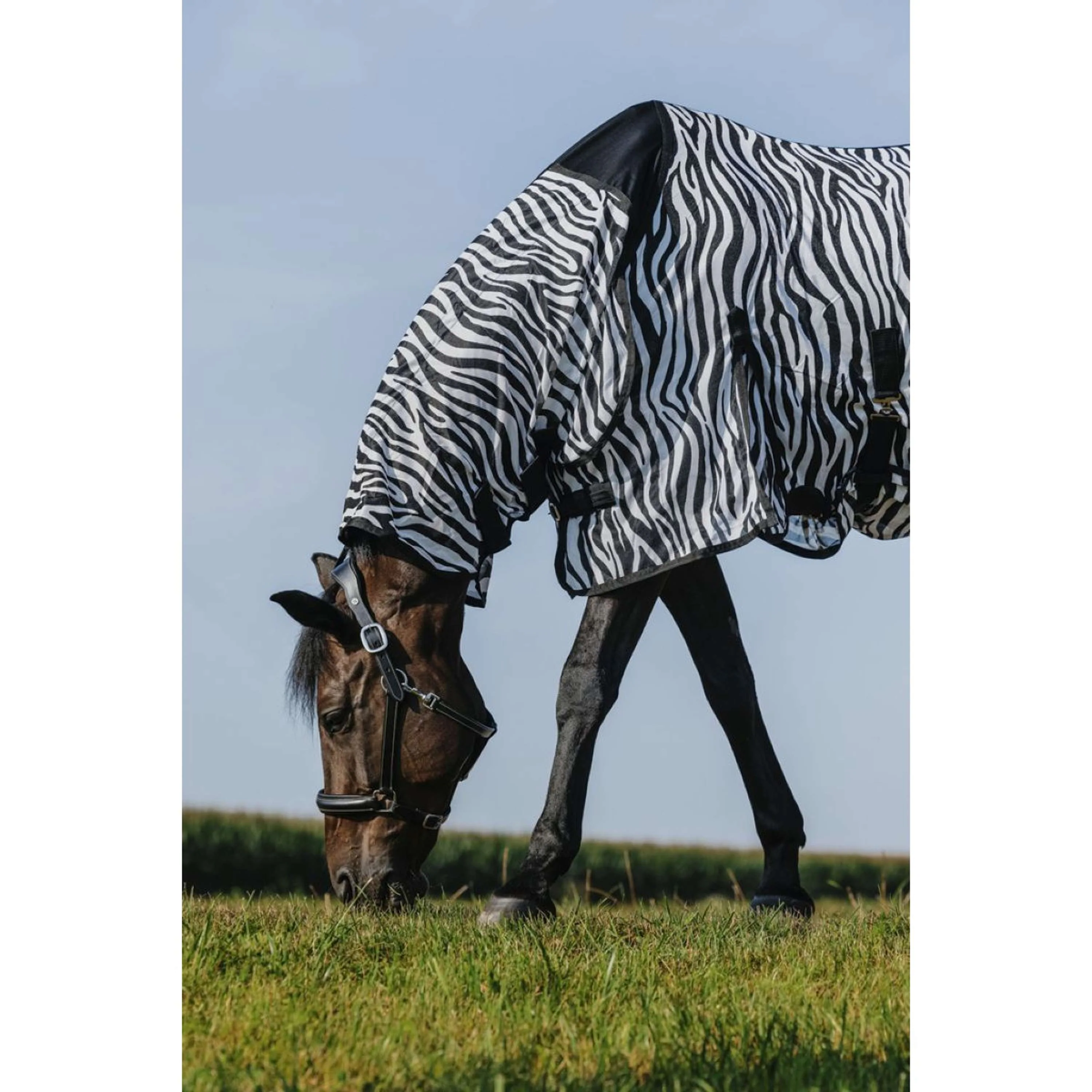 Riding World Coperta Antimosche Belly Mesh Combo Zebra - Image 3