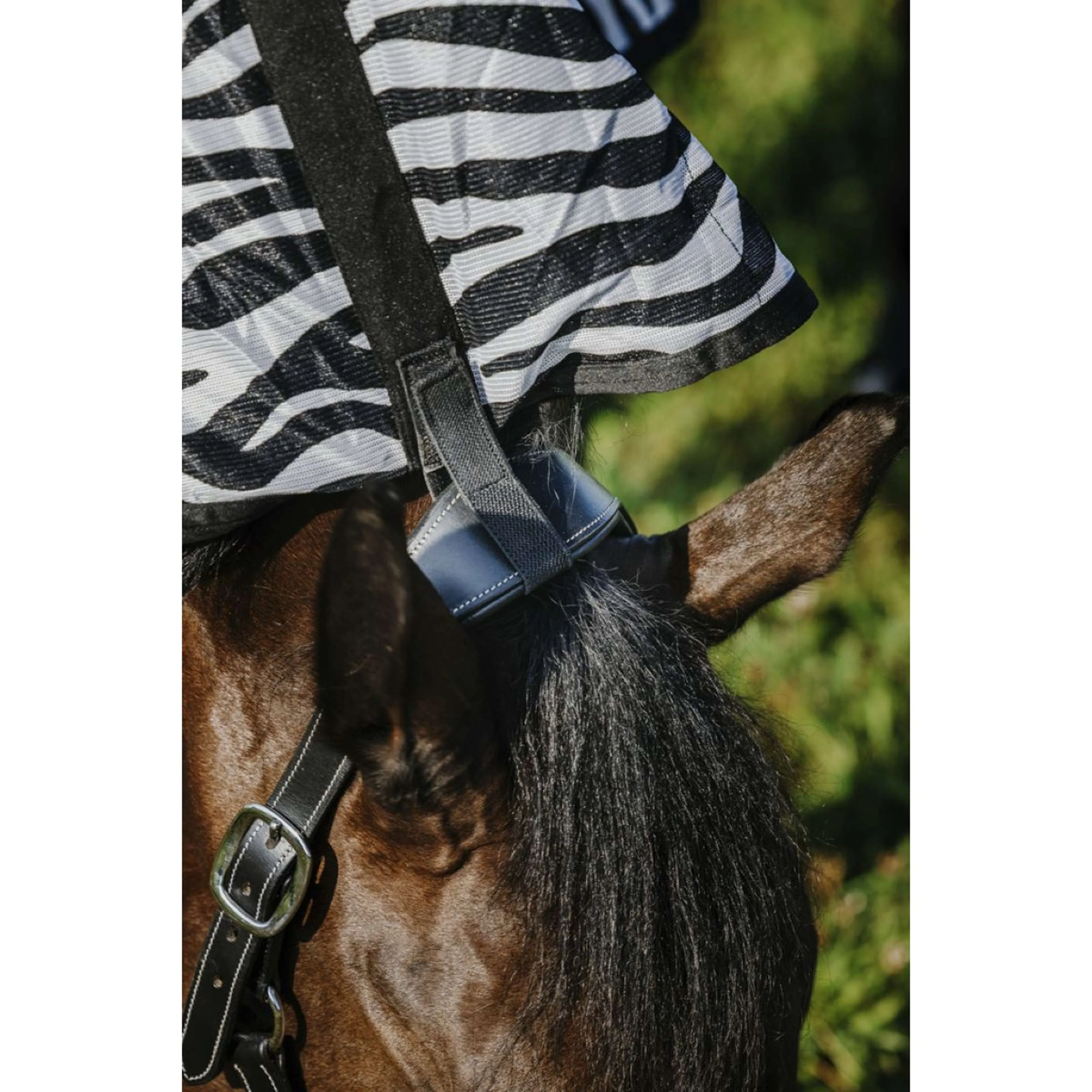 Riding World Coperta Antimosche Belly Mesh Combo Zebra - Image 5