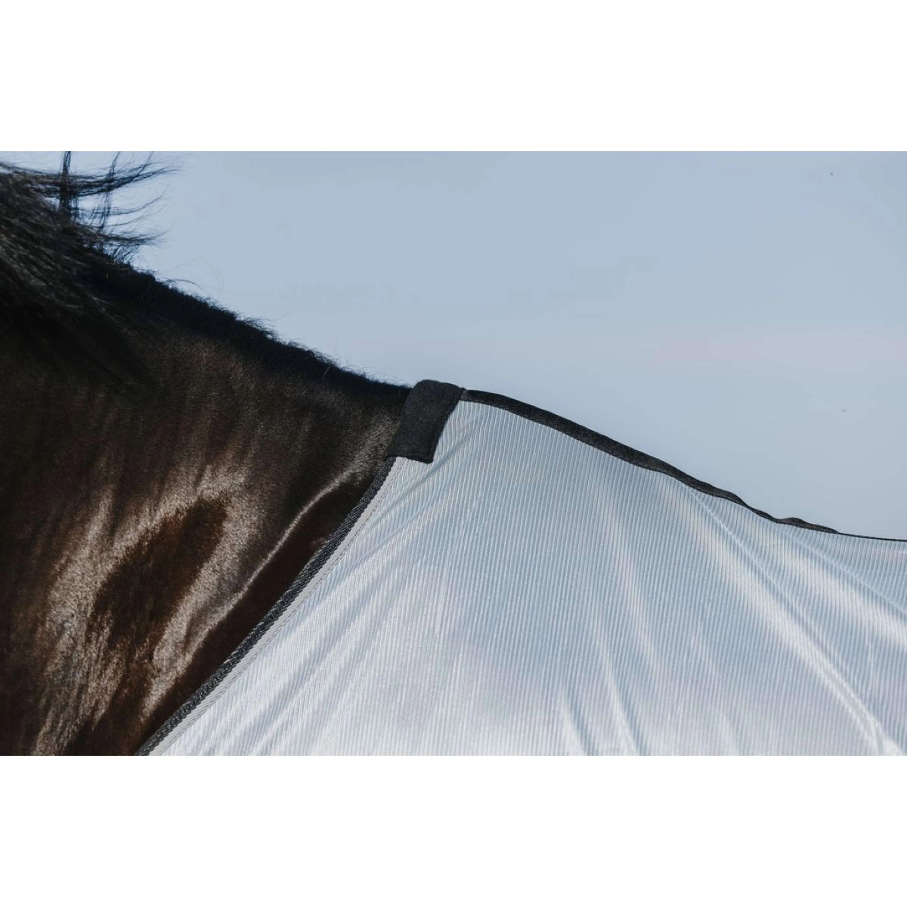 Riding World Coperta Antimosche Belly Mesh Grigio - Image 5