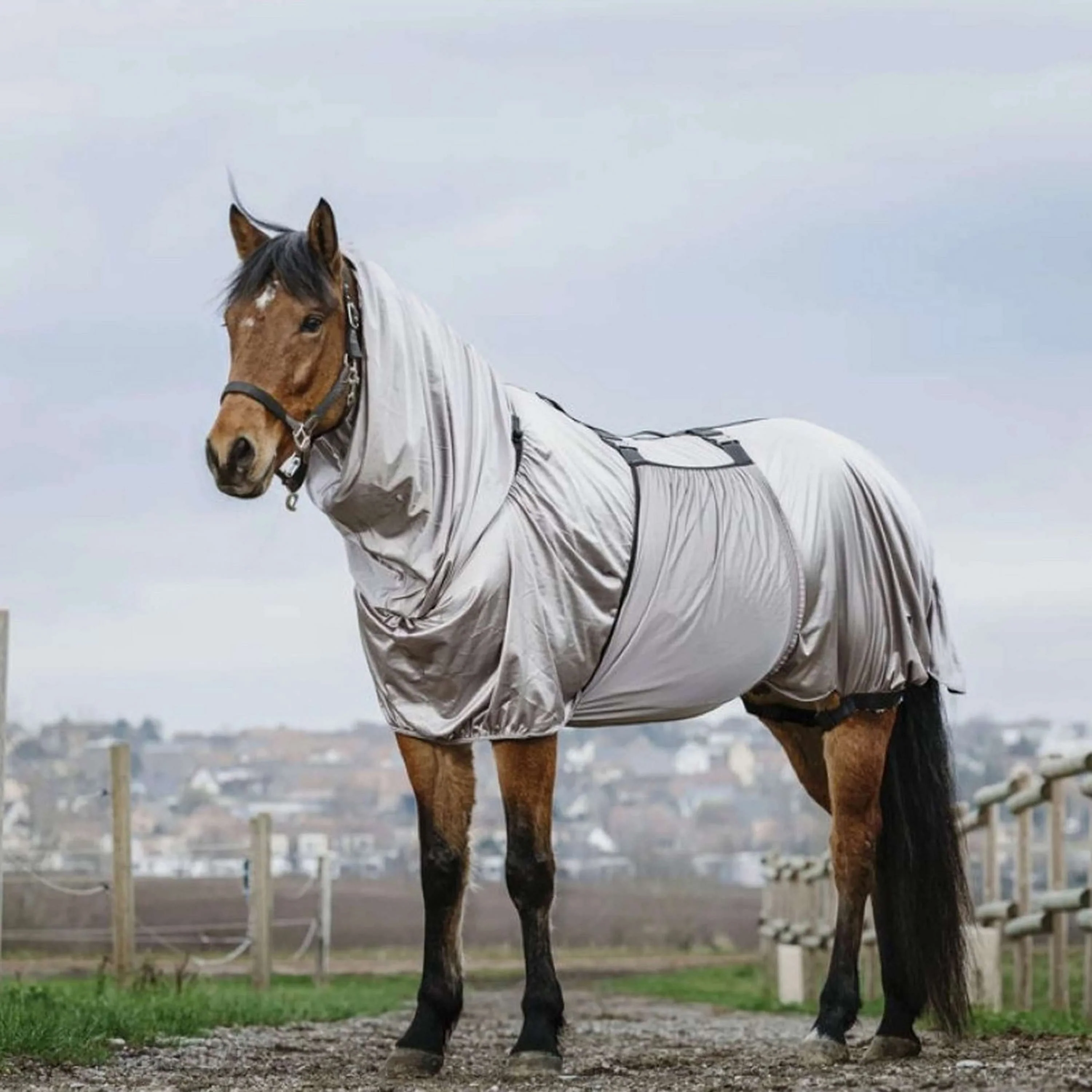 Riding World Coperta per Eczema Grigio - Image 3