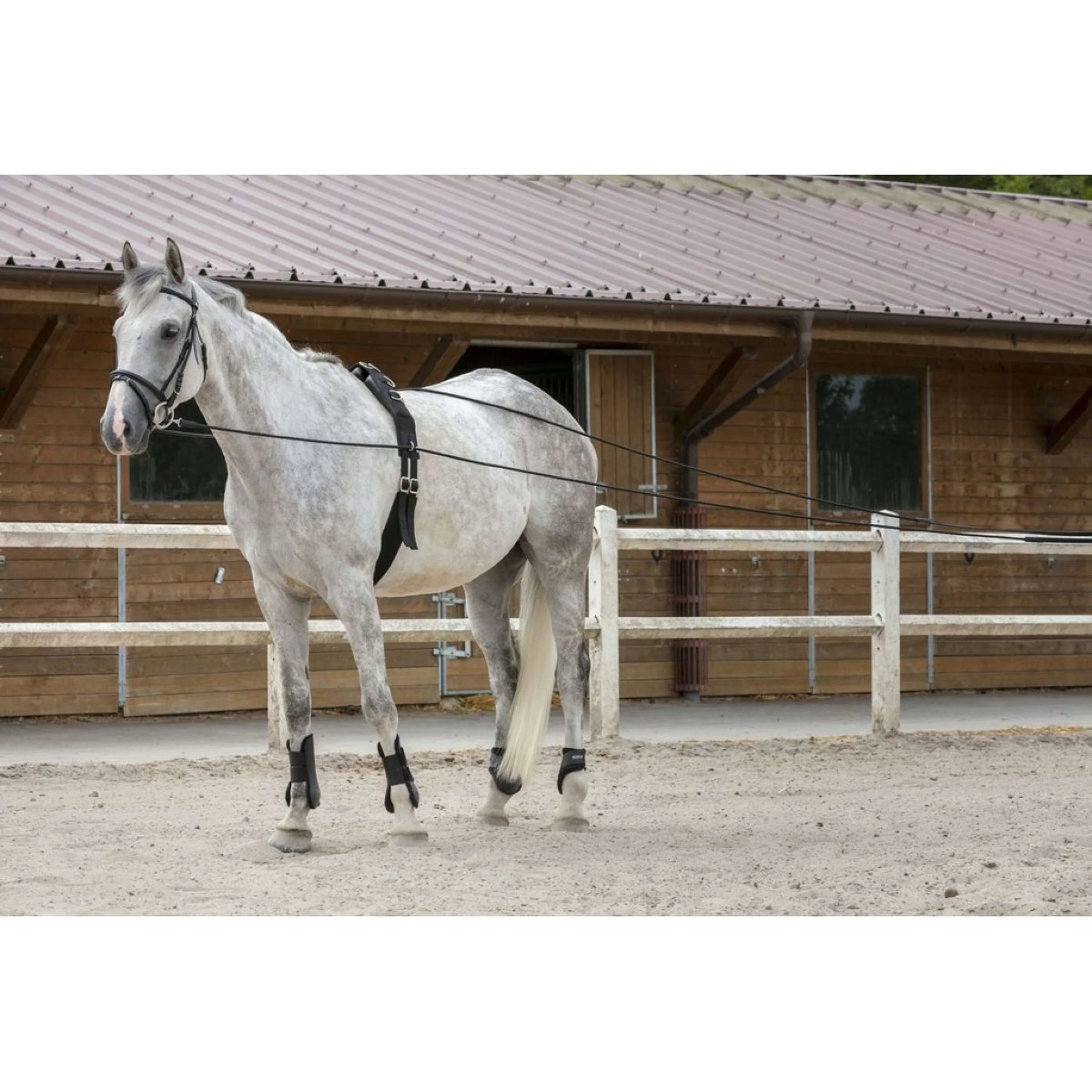 Riding World Redini
