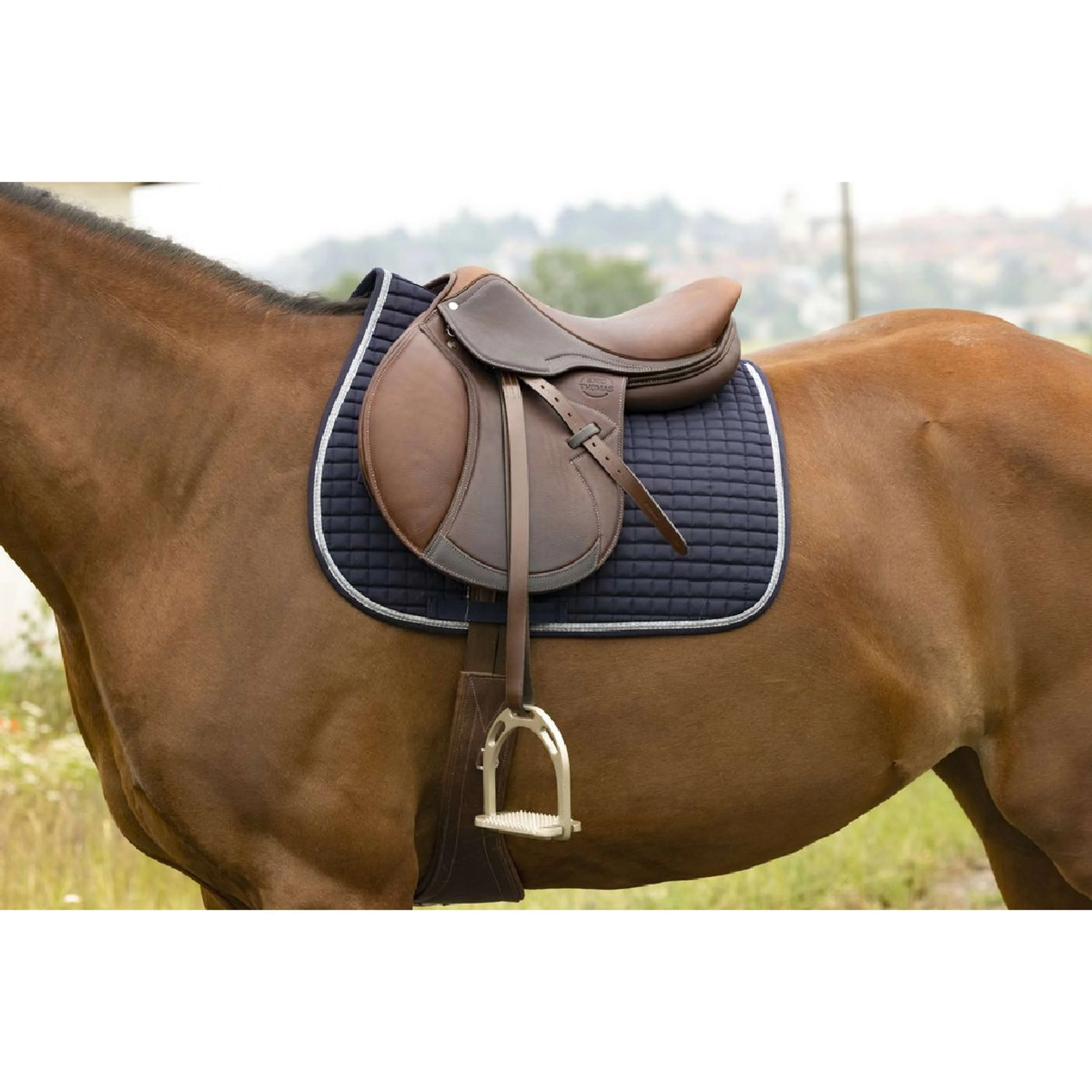 Riding World Sottosella Girly Navy - Image 2