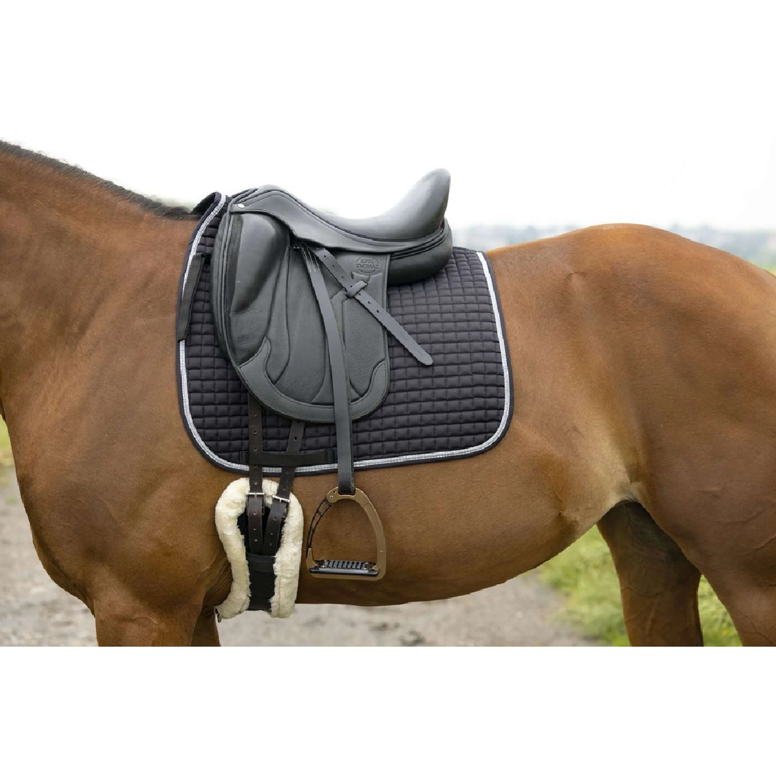 Riding World Sottosella Girly Nero - Image 2