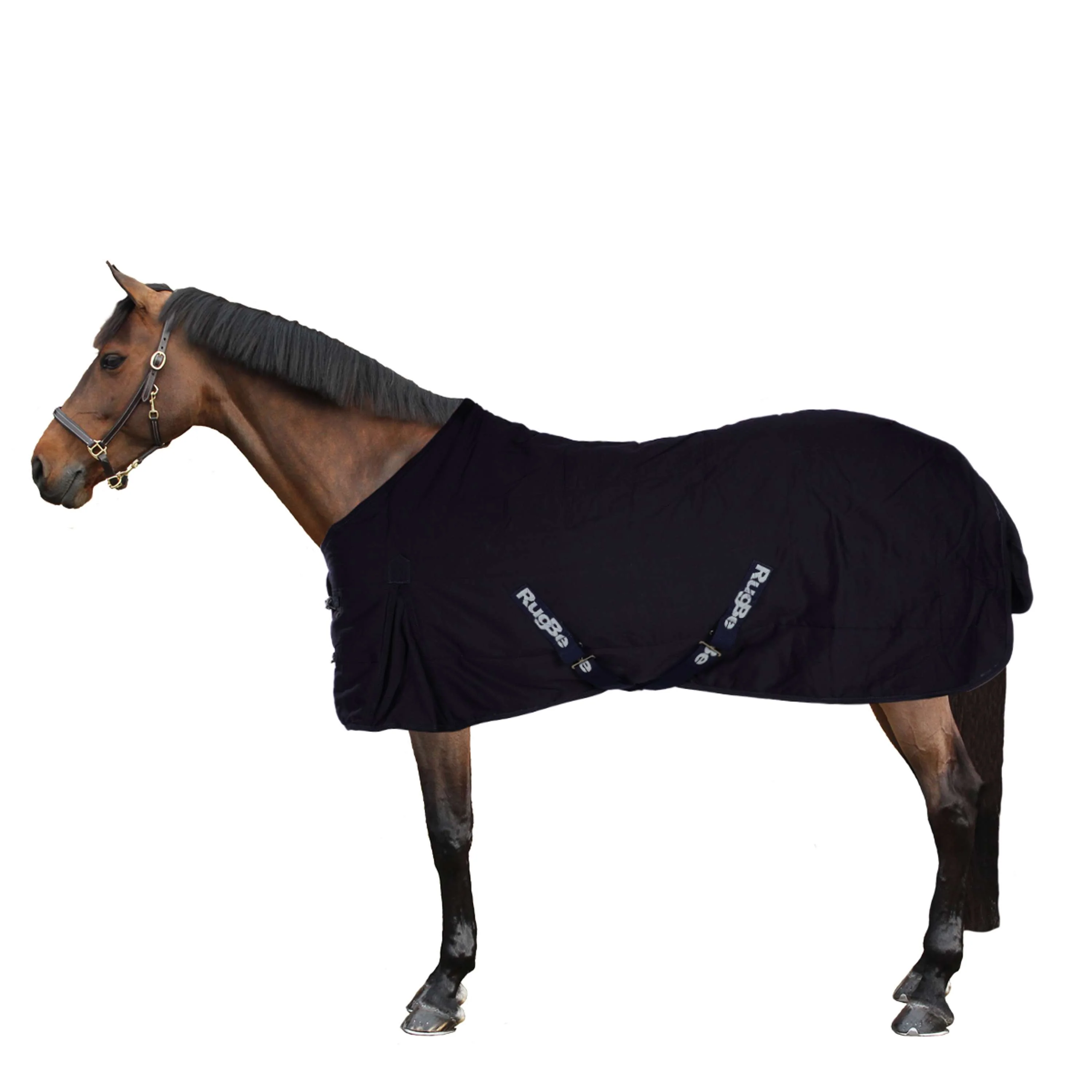 RugBe by Covalliero Coperta da scuderia RugBe Indoor Blu - Image 3