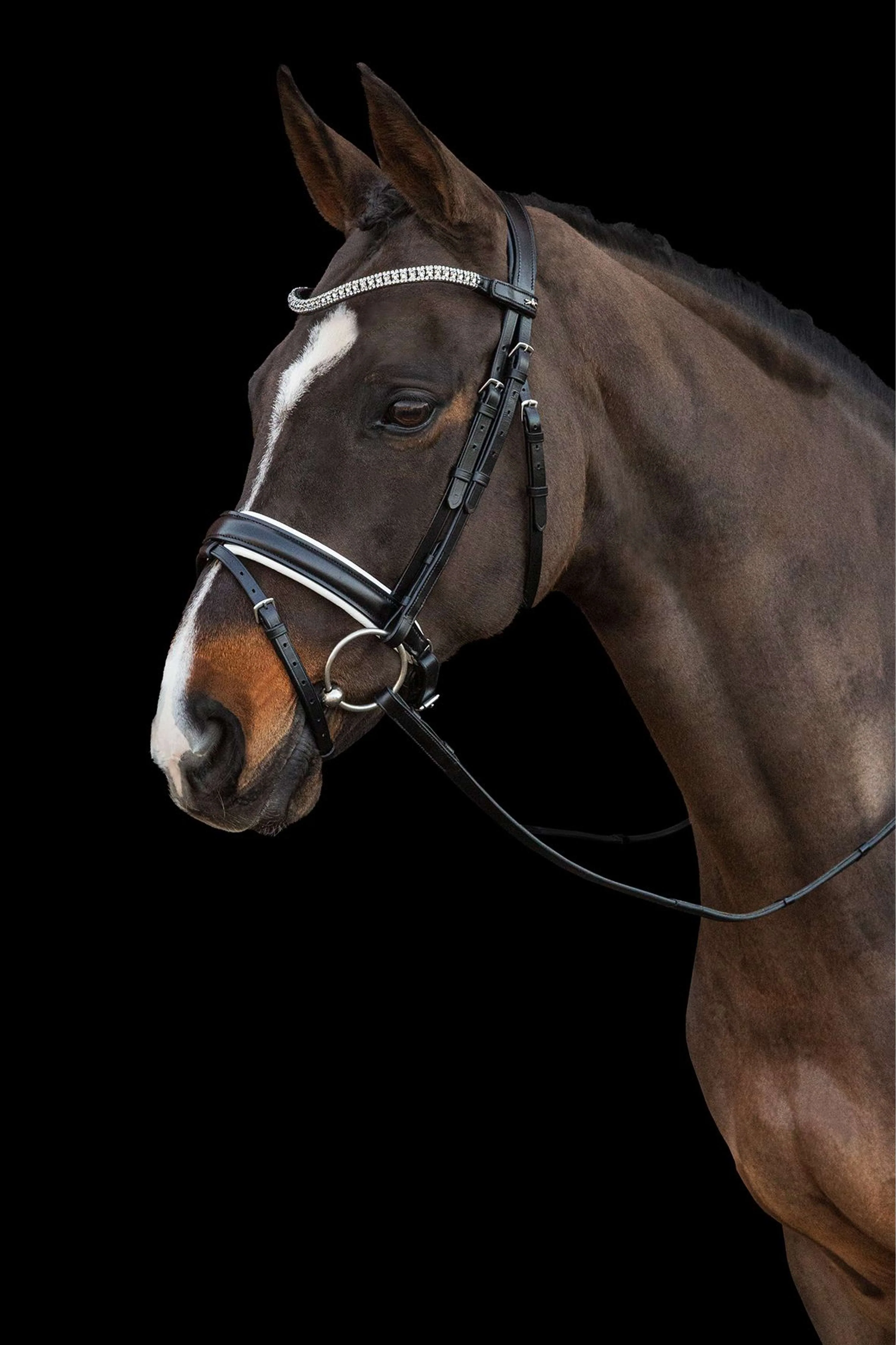 Schockemöhle Briglia Malaga Nero Bianco Argento - Image 2