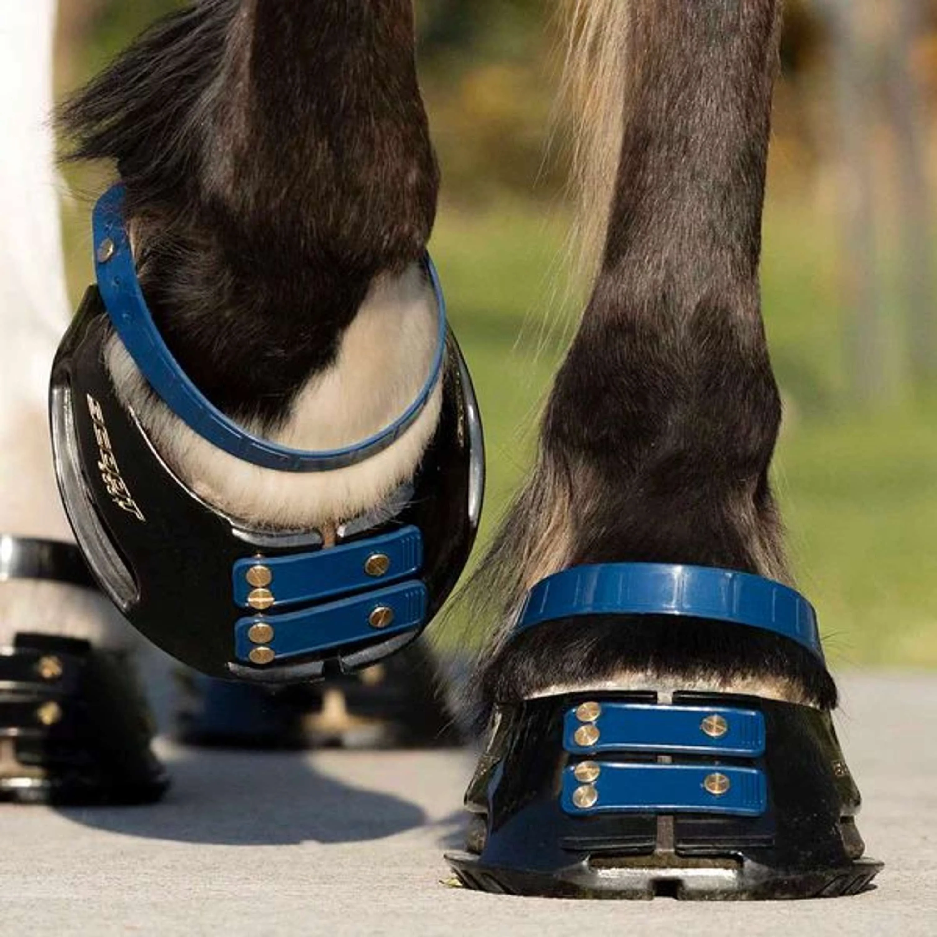 Scoot Boot Cinghia anteriore Navy - Image 2