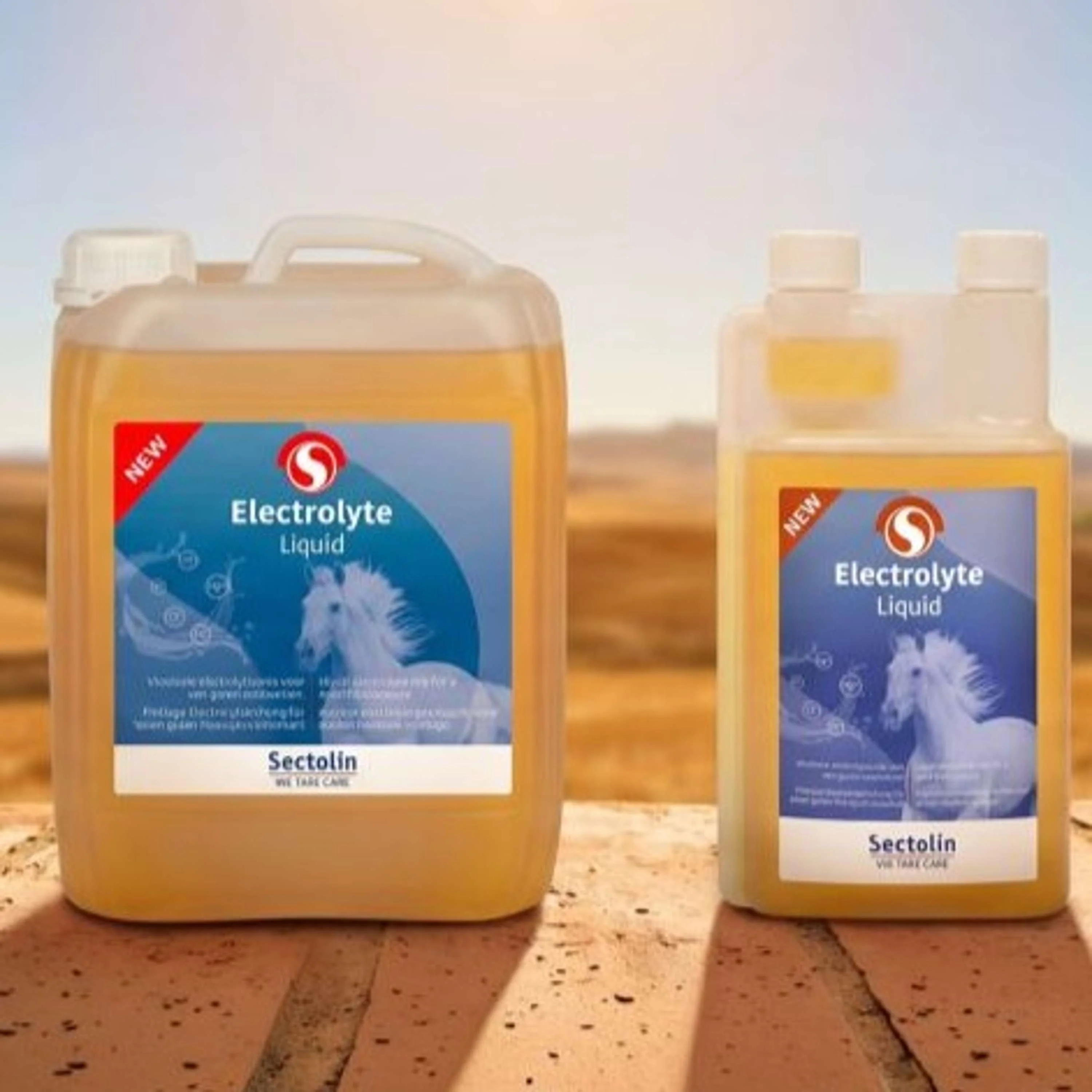 Sectolin Electrolyte Liquid - Image 3