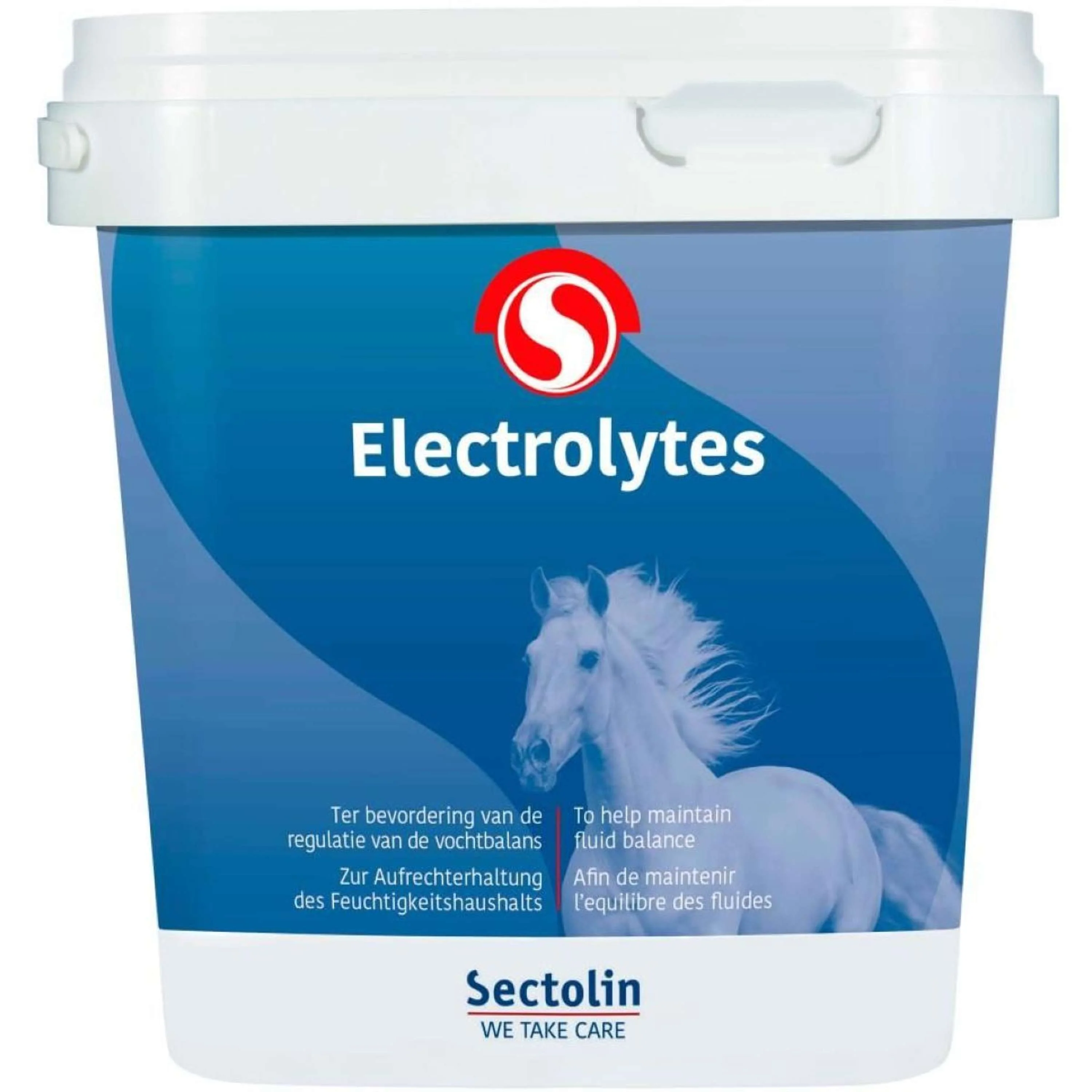 Sectolin Elettroliti - Image 4