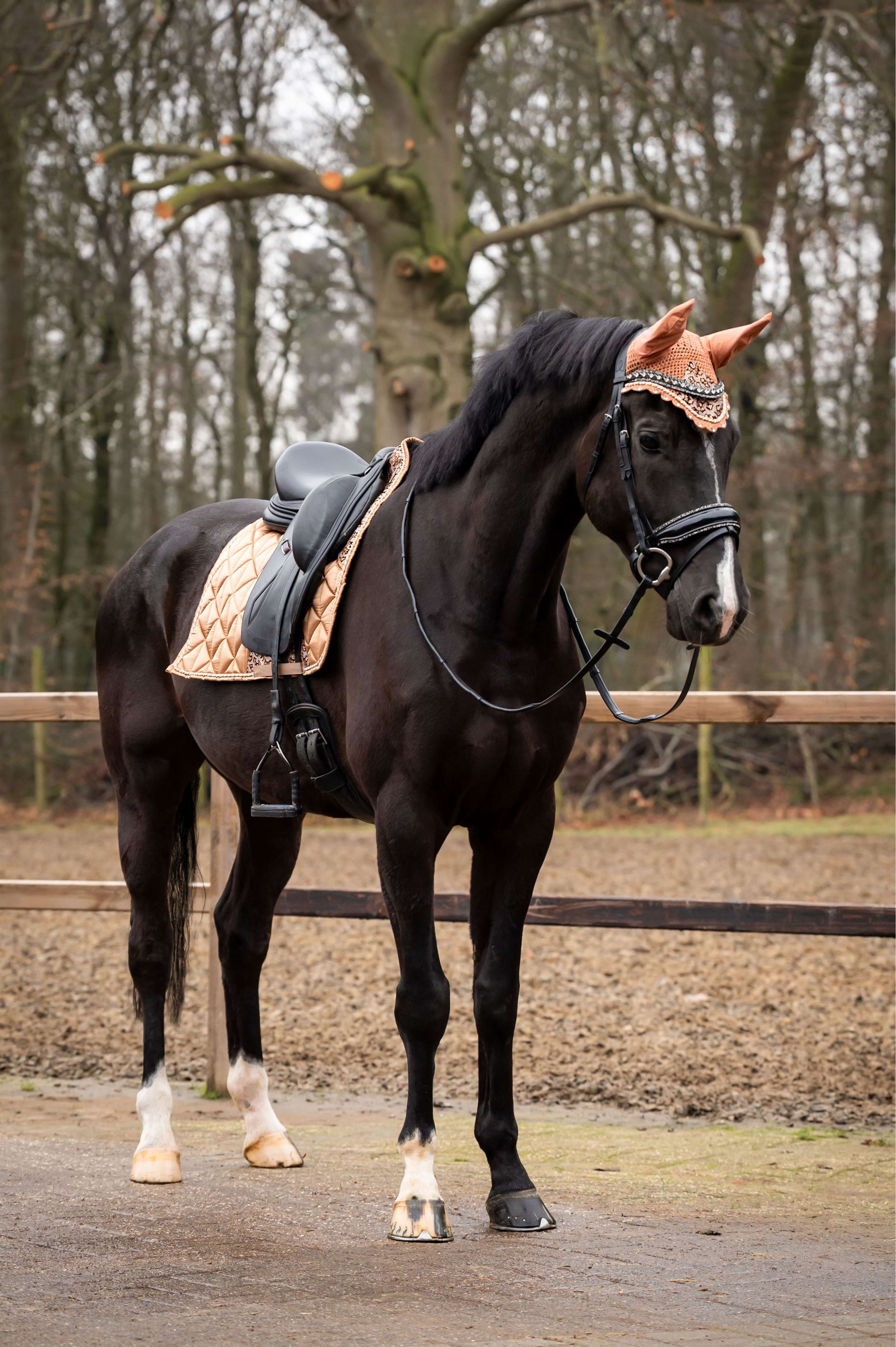 Showtime Sottosella Rio Dressage Beige - Image 2