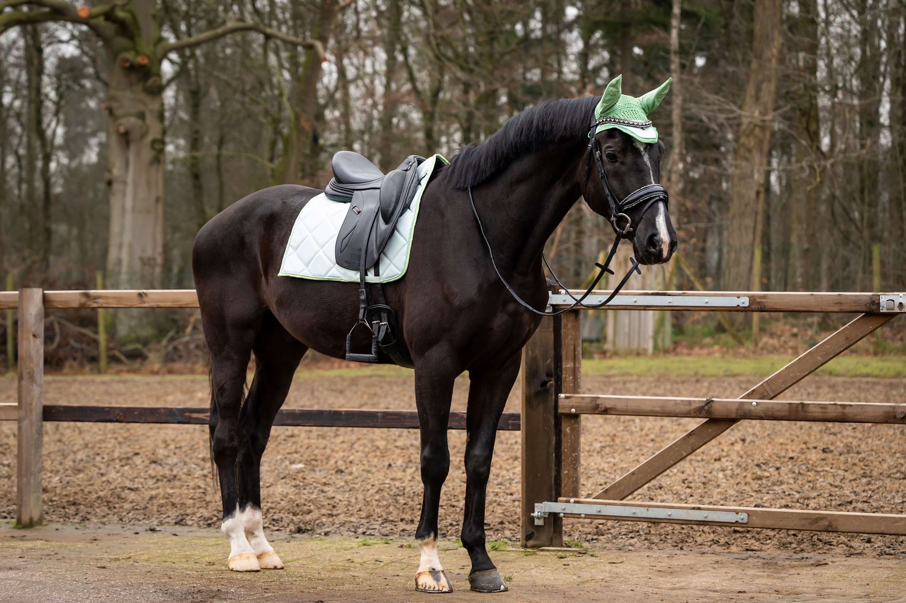 Showtime Sottosella Spring Dressage Verde menta - Image 2