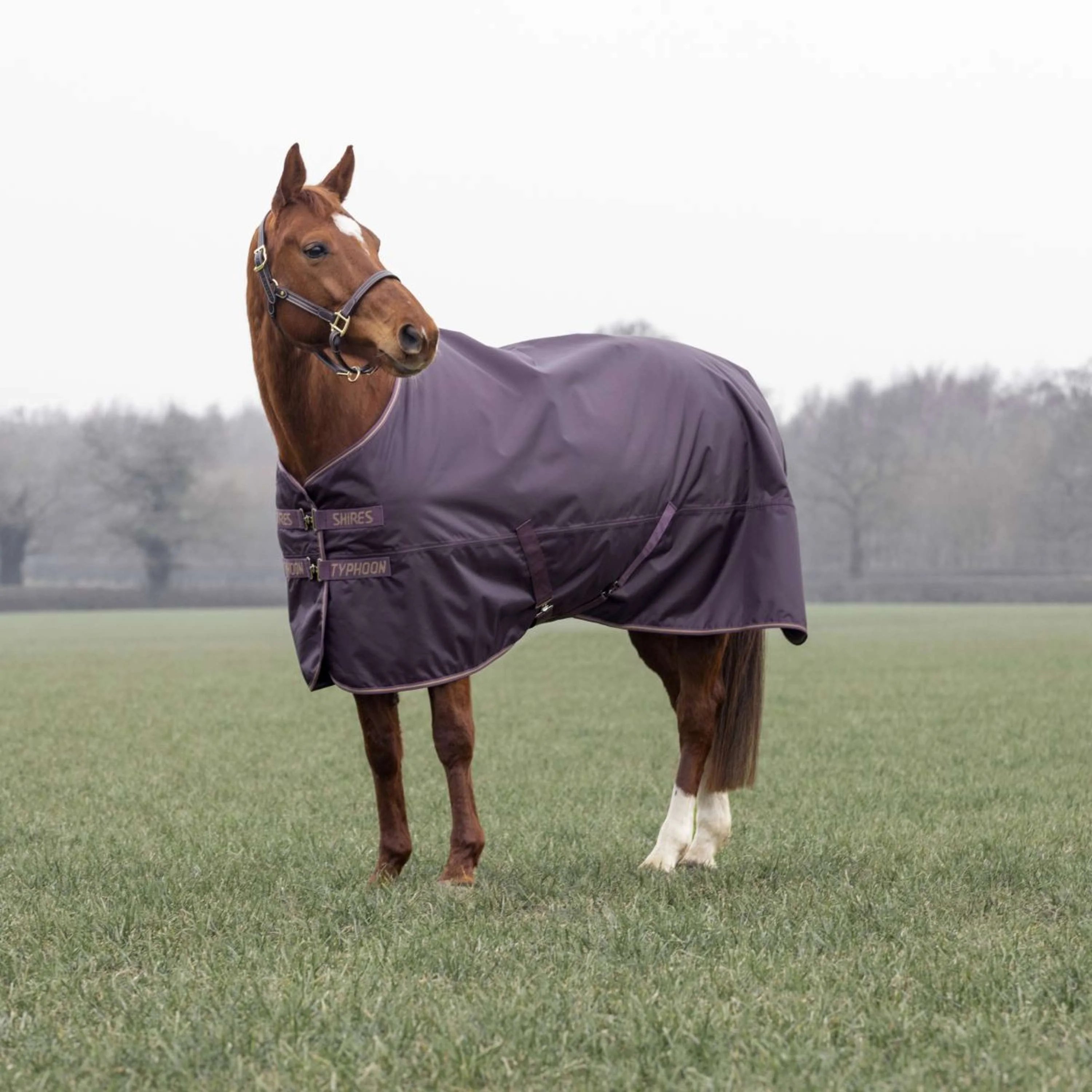Tempest by Shires Coperta Invernale Turnout Typhoon 100g Black Cherry