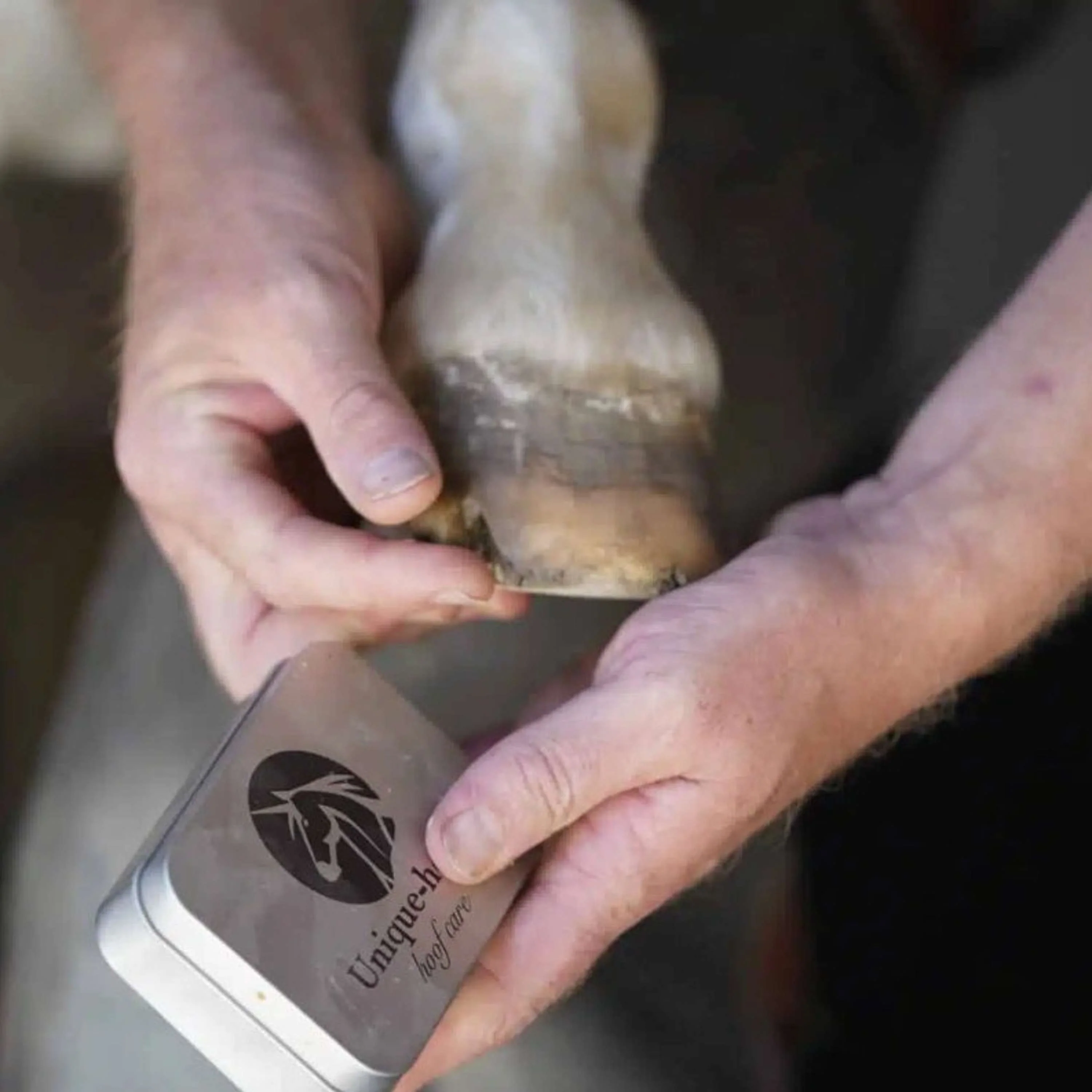 Unique-horn Hoof Wax Repair Giallo - Image 3