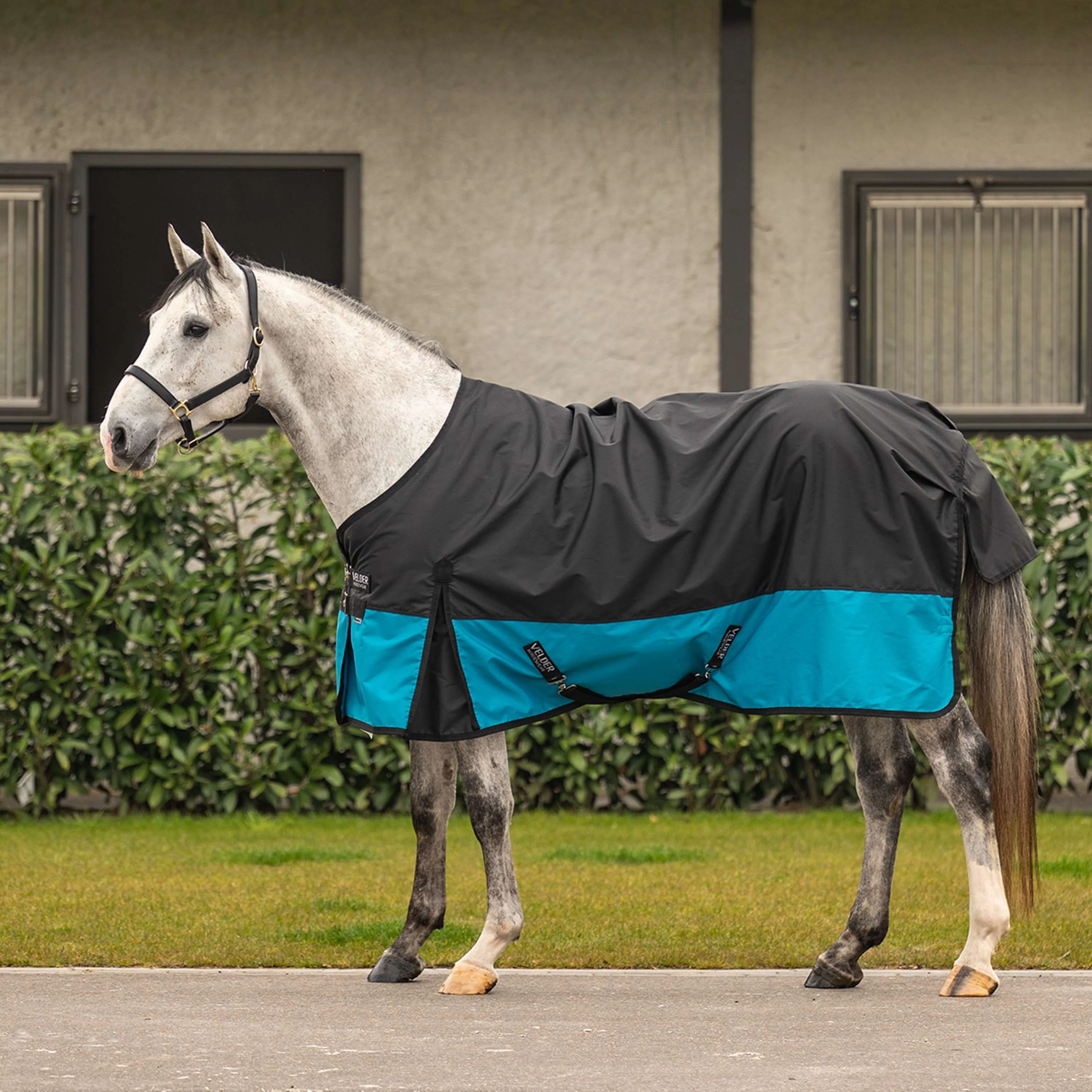 Velder Horsewear Essentials Classic Turnout Rug 600D 0g Nero