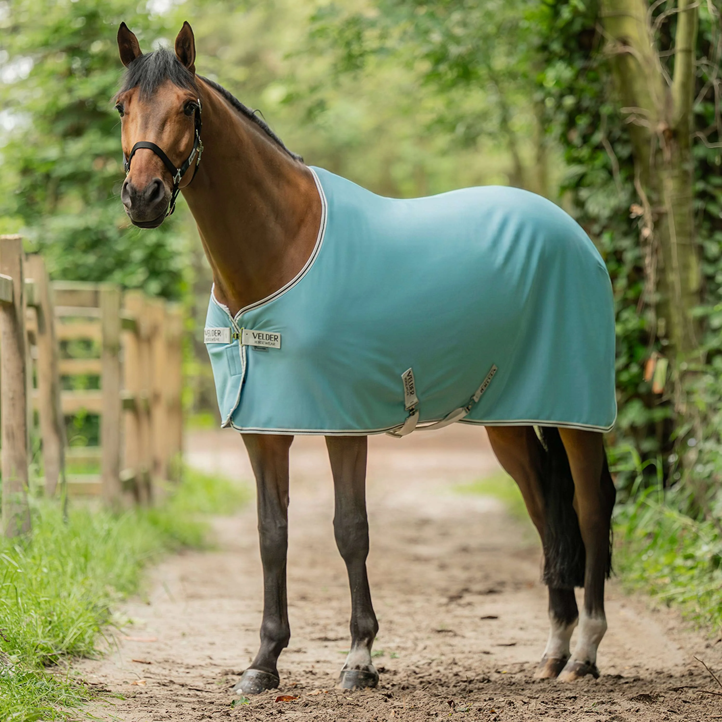 Velder Horsewear Essentials Cooler Rug Acqua Blu