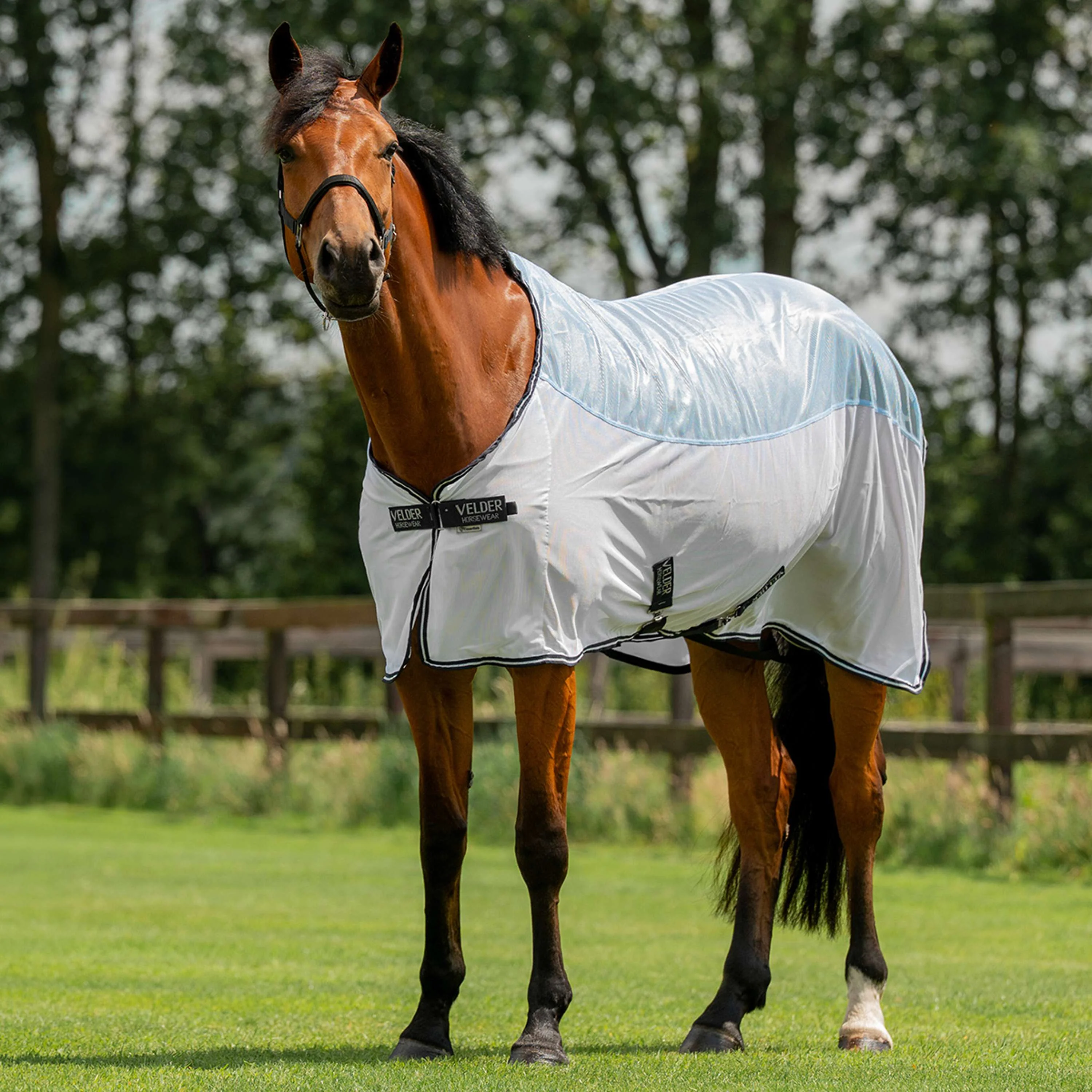 Velder Horsewear Essentials Coperta Antimosche Blush Blue - Image 2