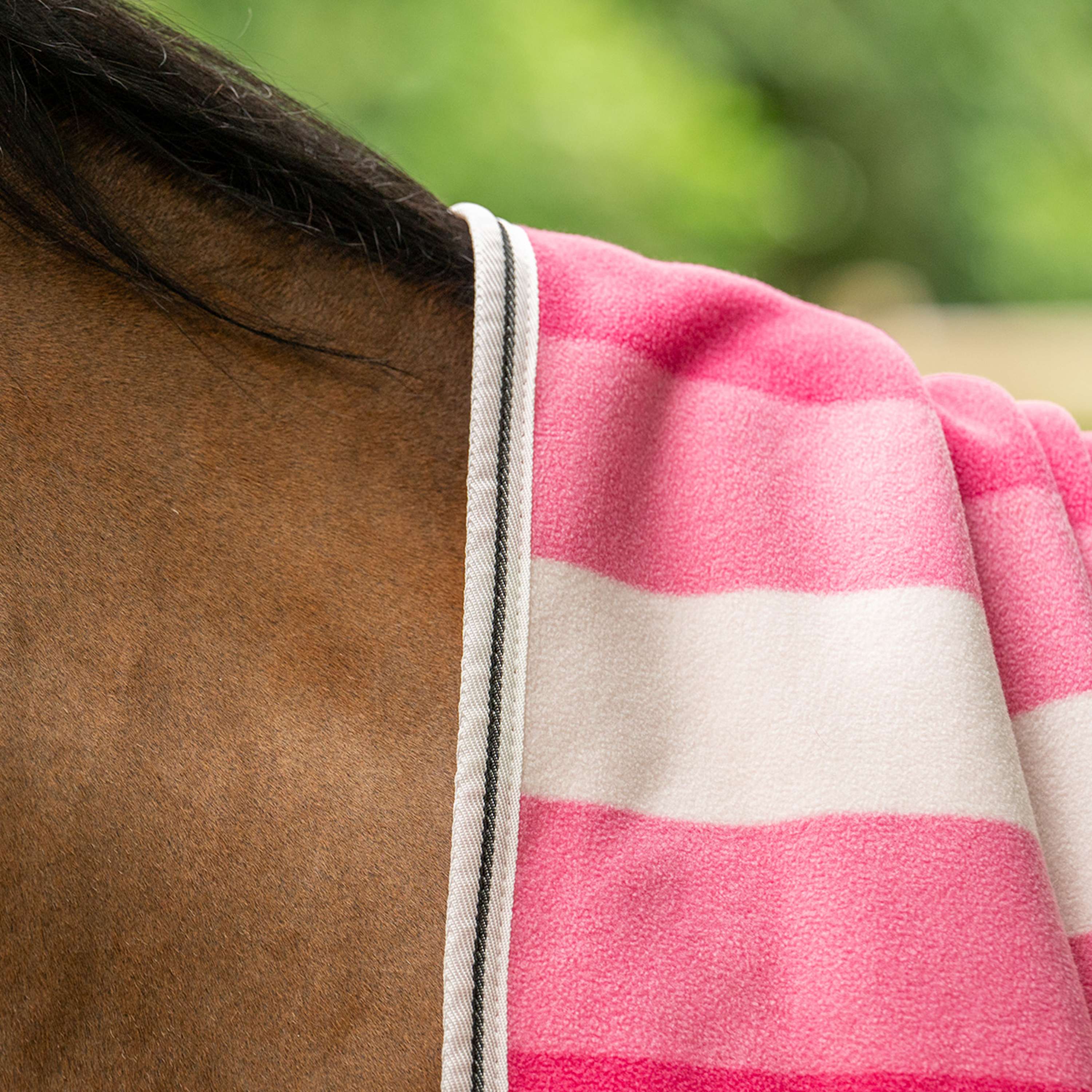 Velder Horsewear Premium Cooler VelvetTouch Dusty Rose - Image 5