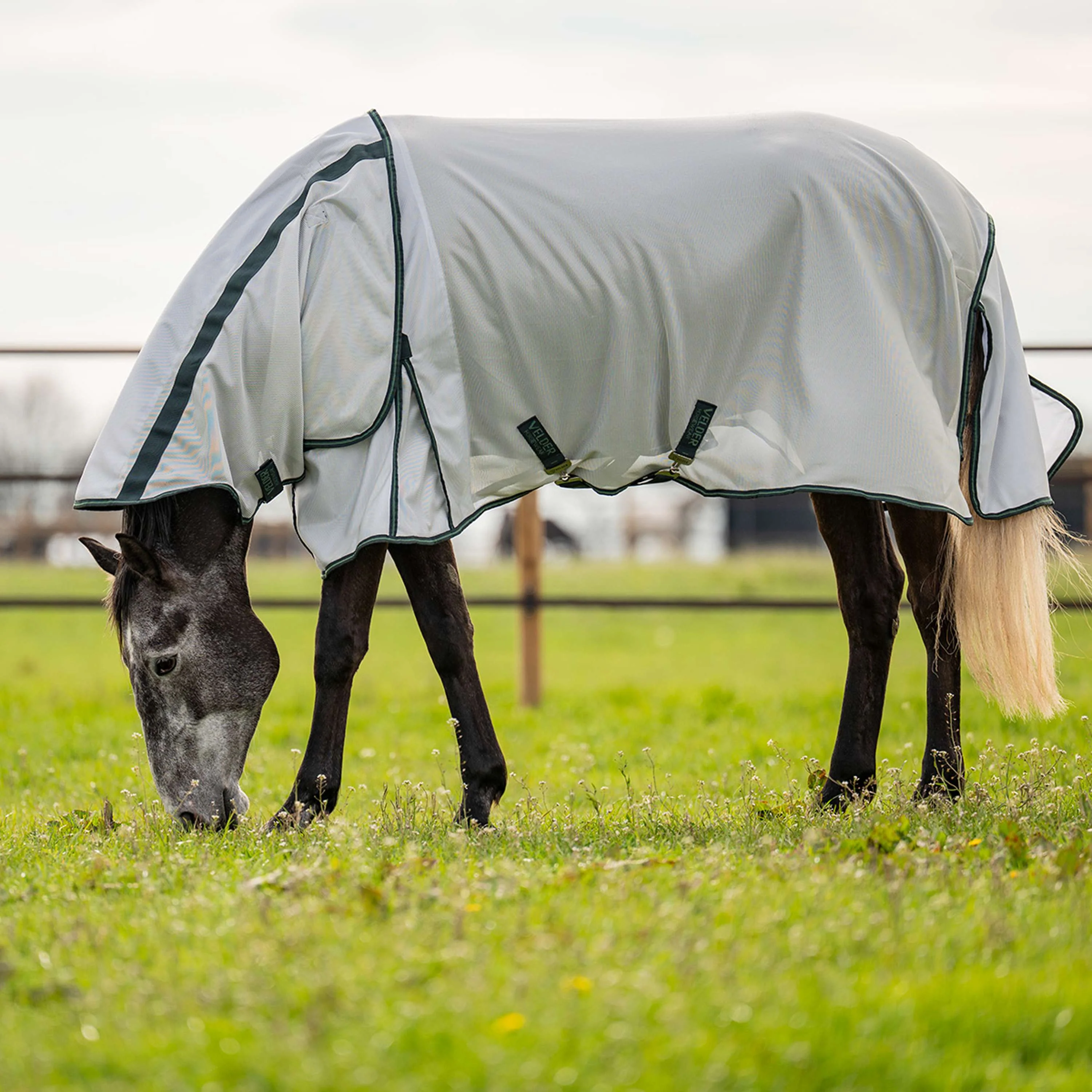 Velder Horsewear Premium Coperta Antimosche Guardian AirMesh Silver Mist - Image 2