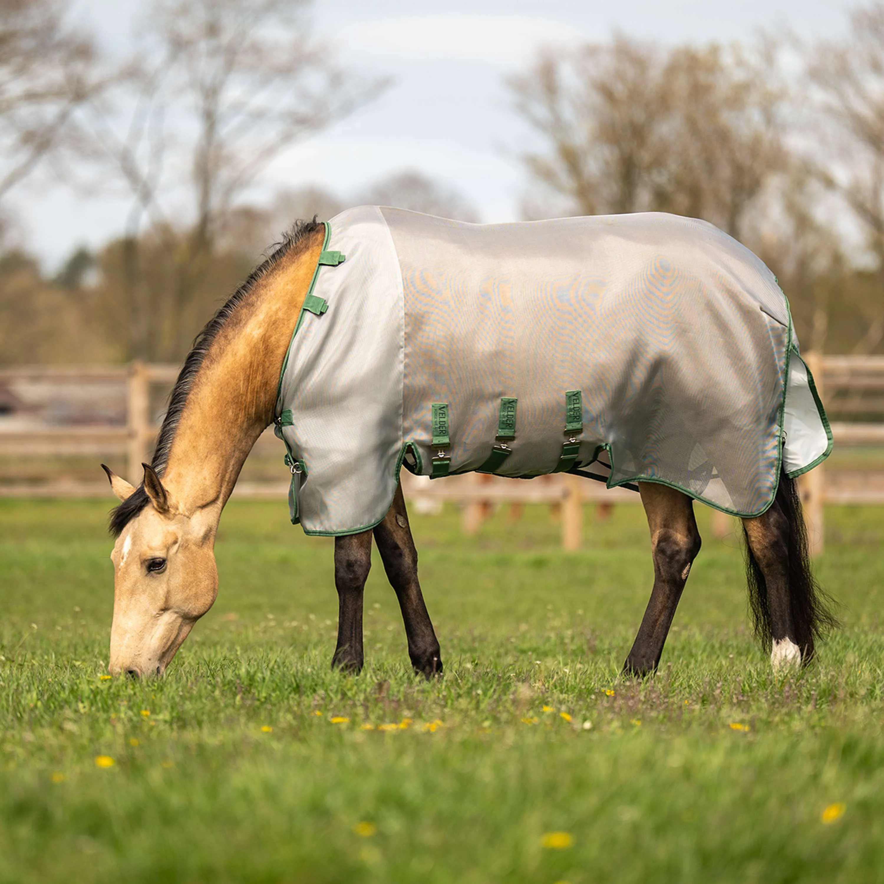 Velder Horsewear Premium Insect Guard Plus Argento - Image 3