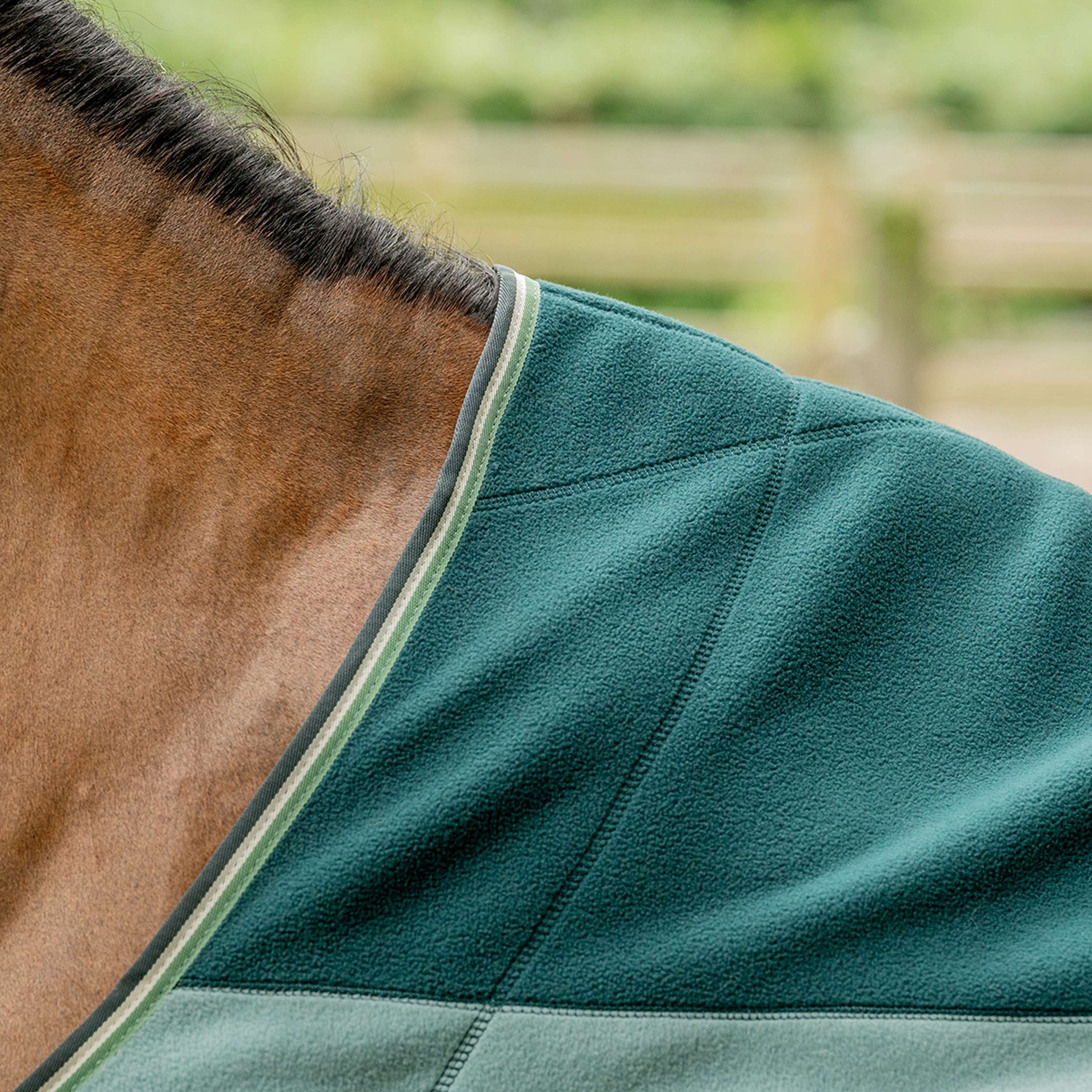 Velder Horsewear Premium Stripe Cooler Rug Striped Night Forest - Image 4