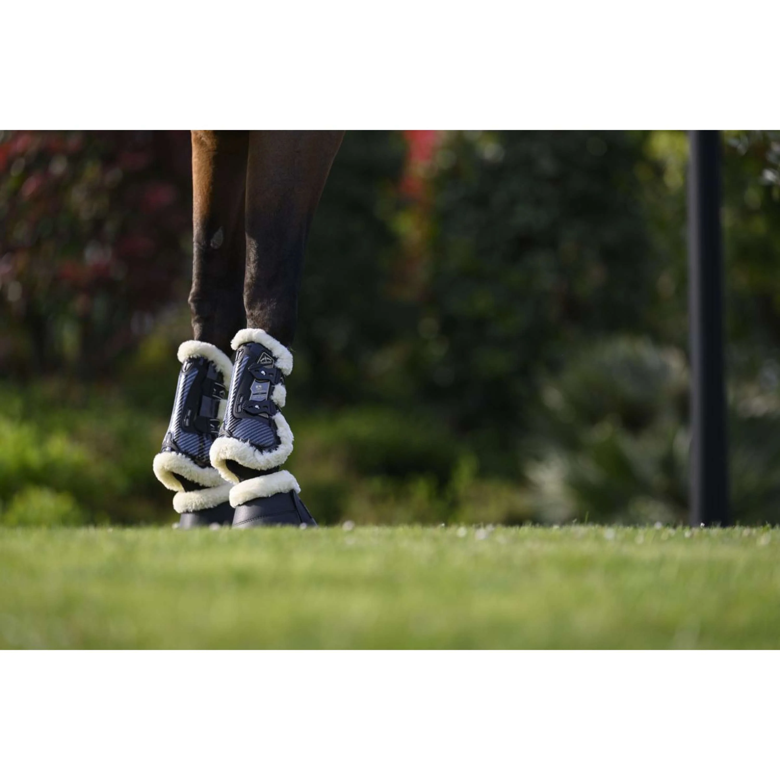 Veredus Stinchiere Carbon Gel Absolute Save the Sheep Front Nero - Image 9
