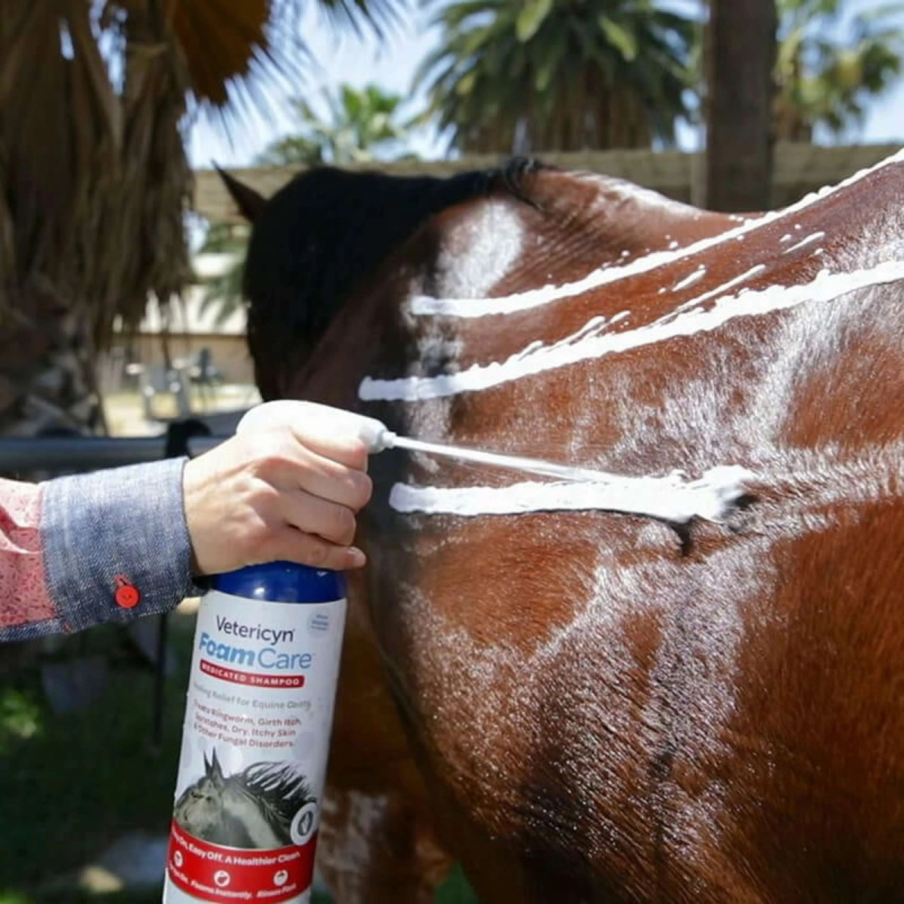 Vetericyn FoamCare Shampoo medicato per cavalli - Image 2