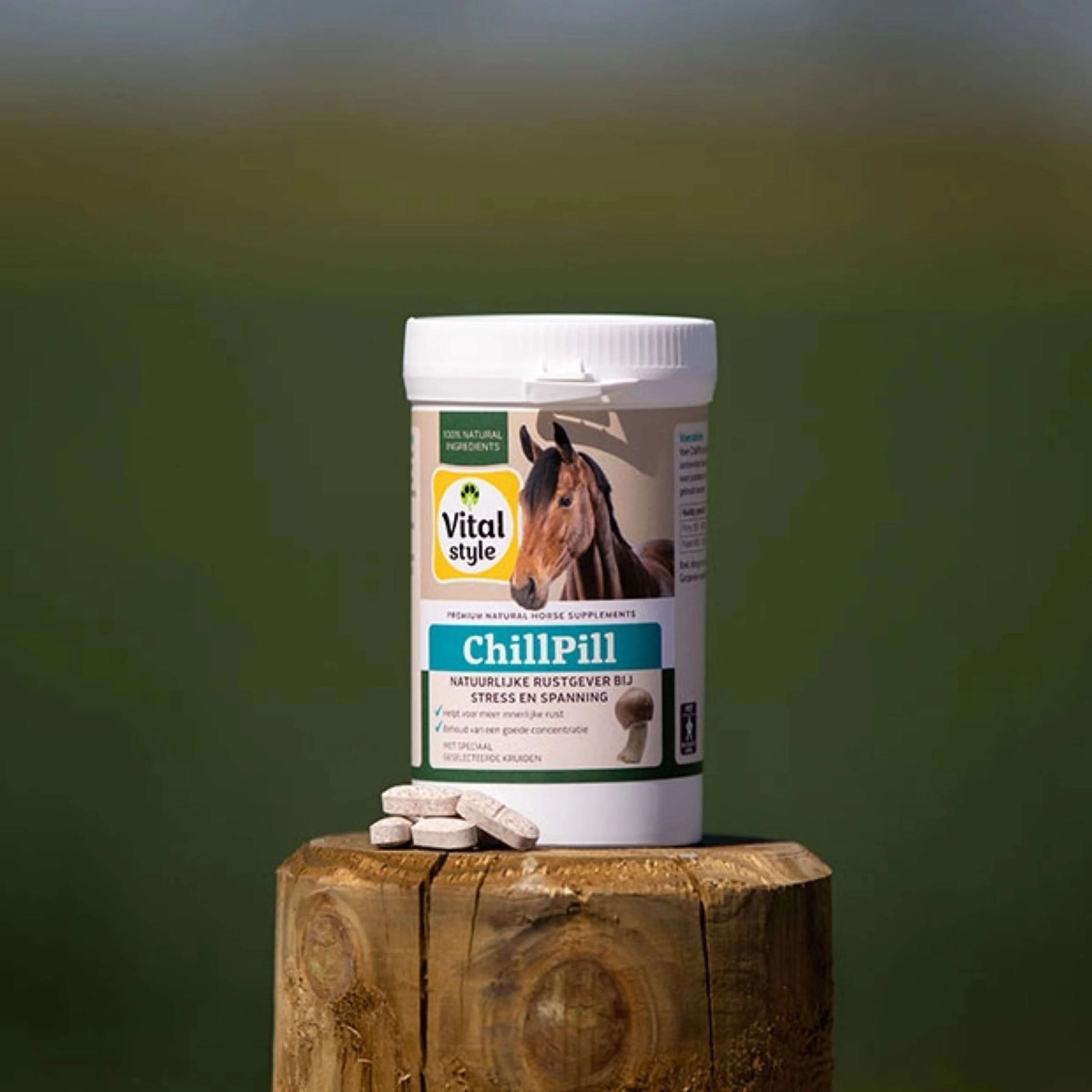 Vitalstyle ChillPill Cavallo - Image 2