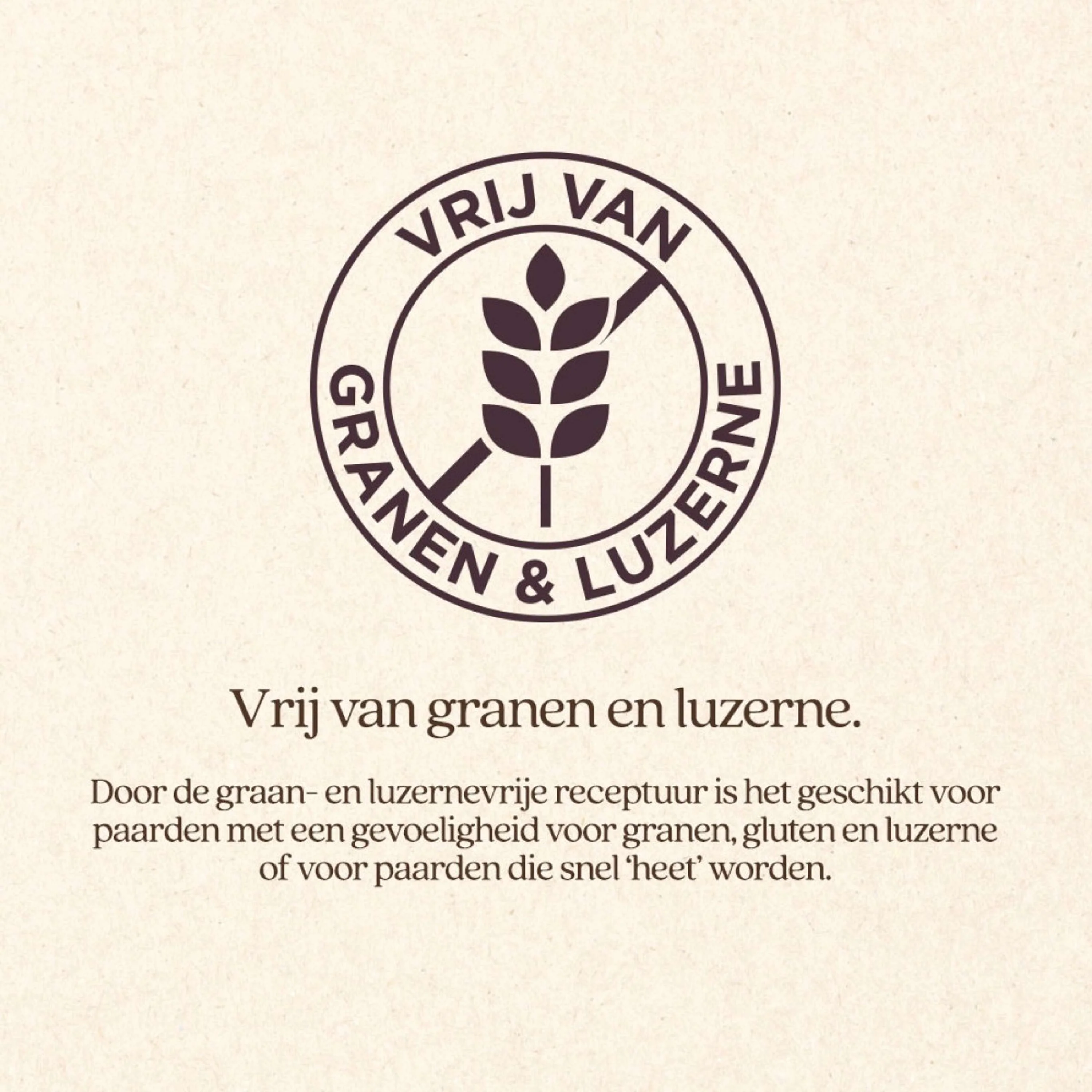 Vitalstyle SluesliMix - Image 5