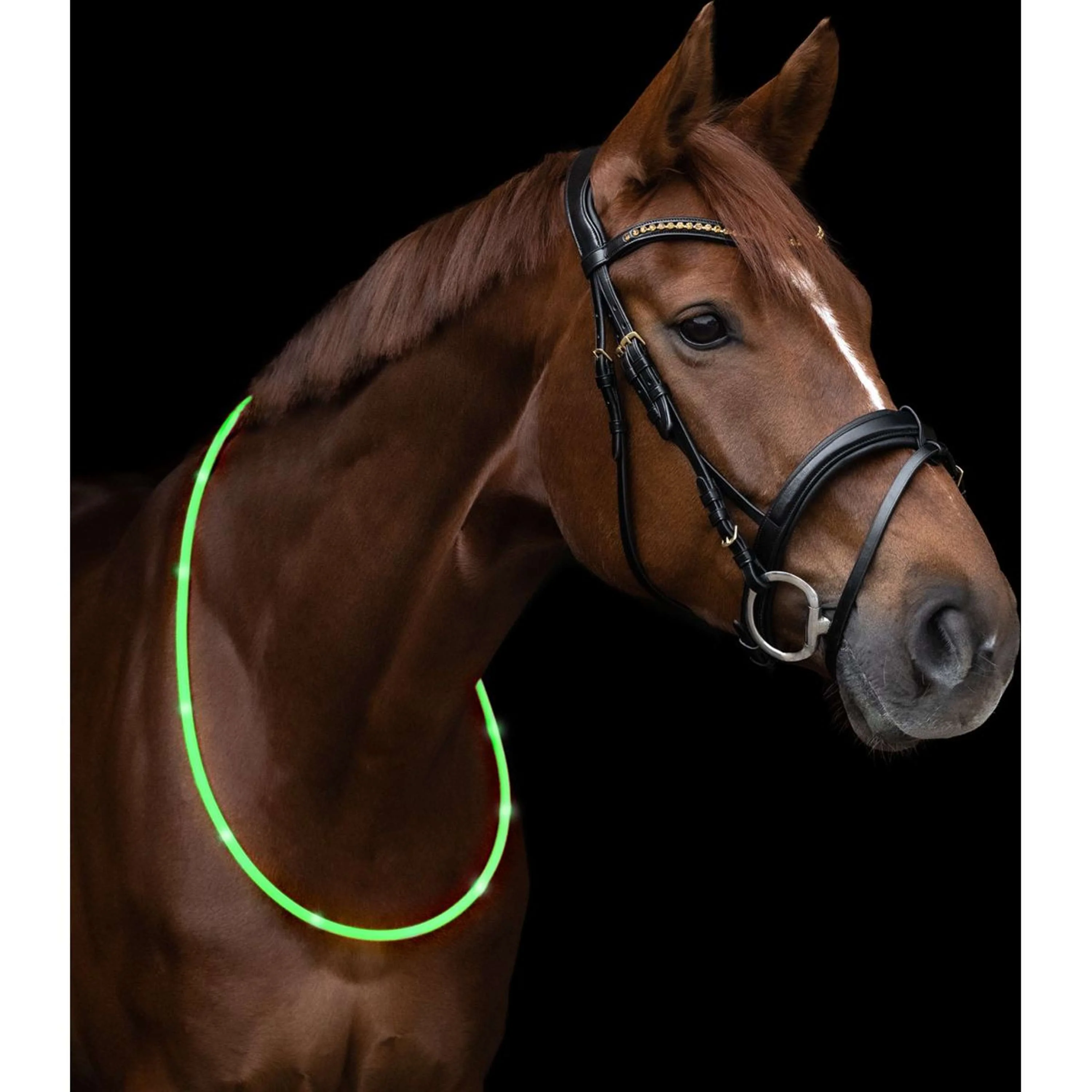 Waldhausen Halsring LED Verde - Image 3
