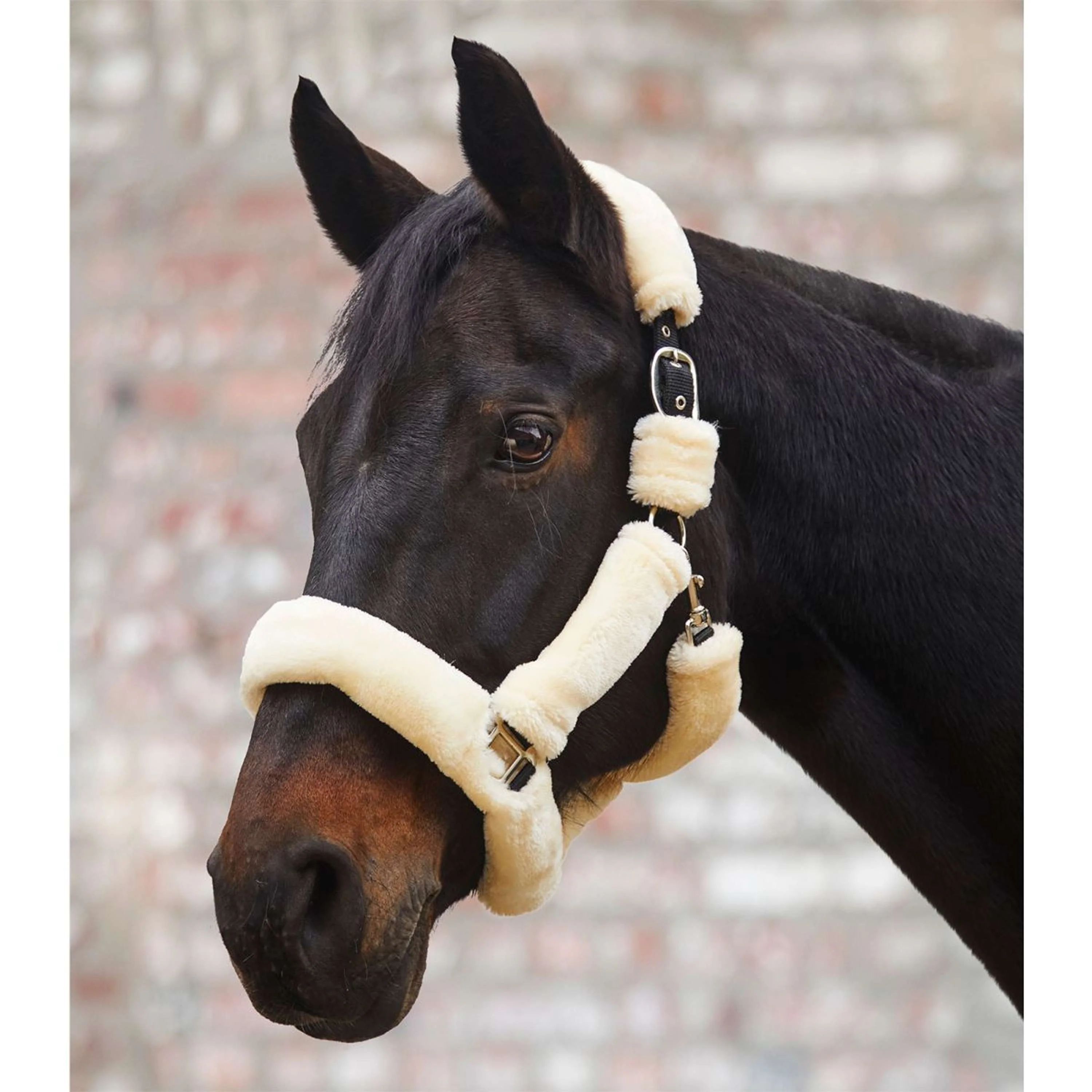 Waldhausen Cavezza Cozy Crema - Image 2