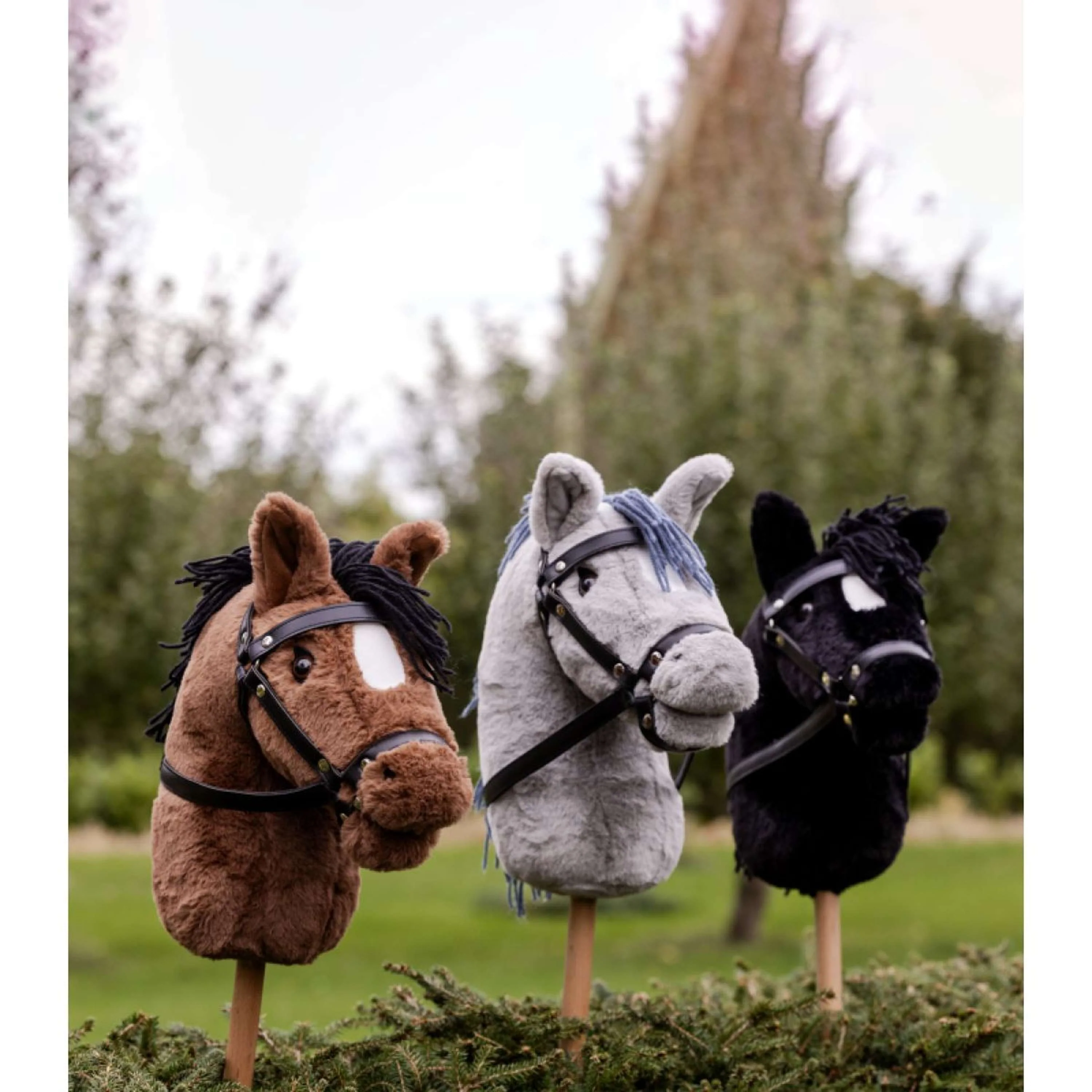 Waldhausen Hobby Horse Toffy - Image 4
