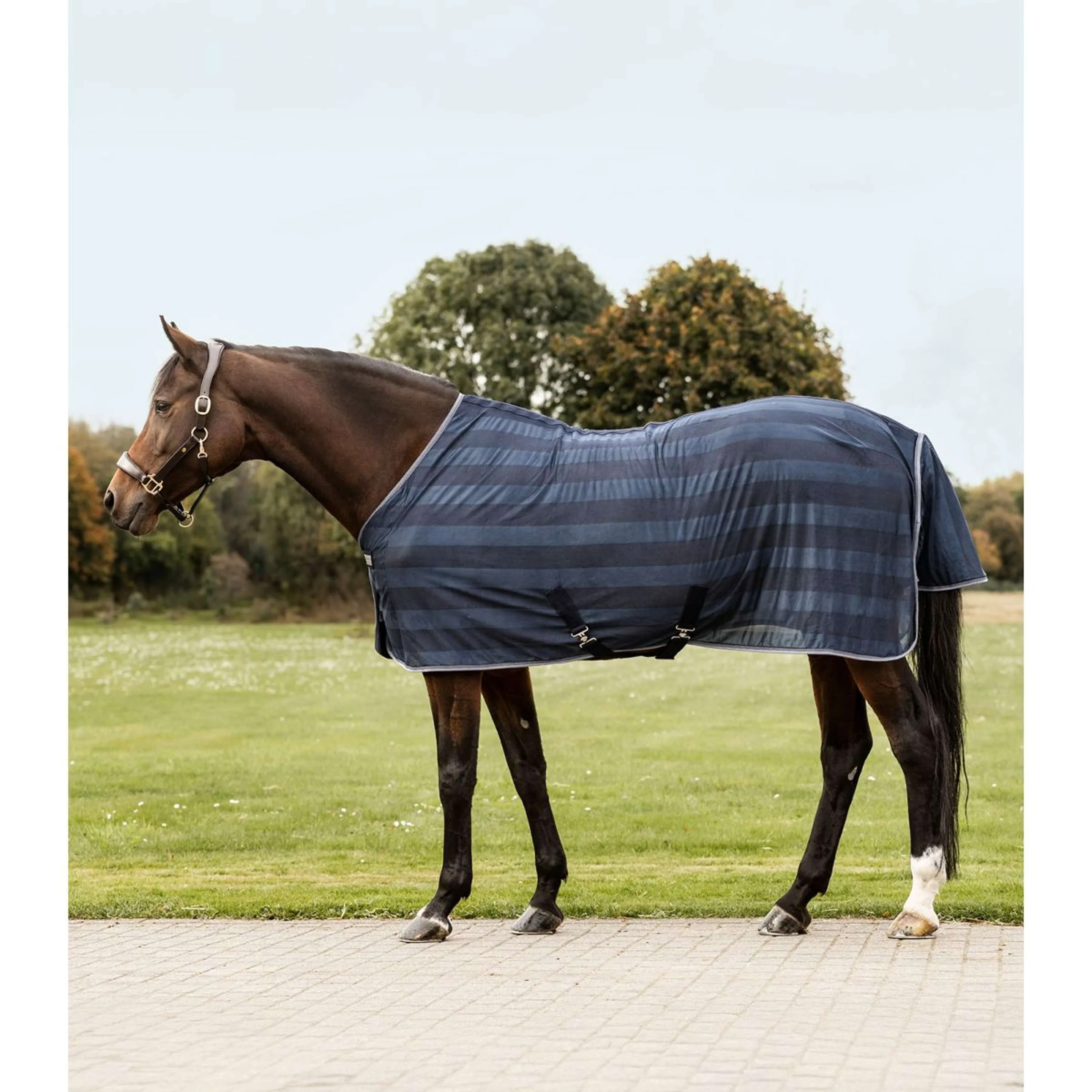 Waldhausen Coperta Antimosche Economic 2.0 Blu notte