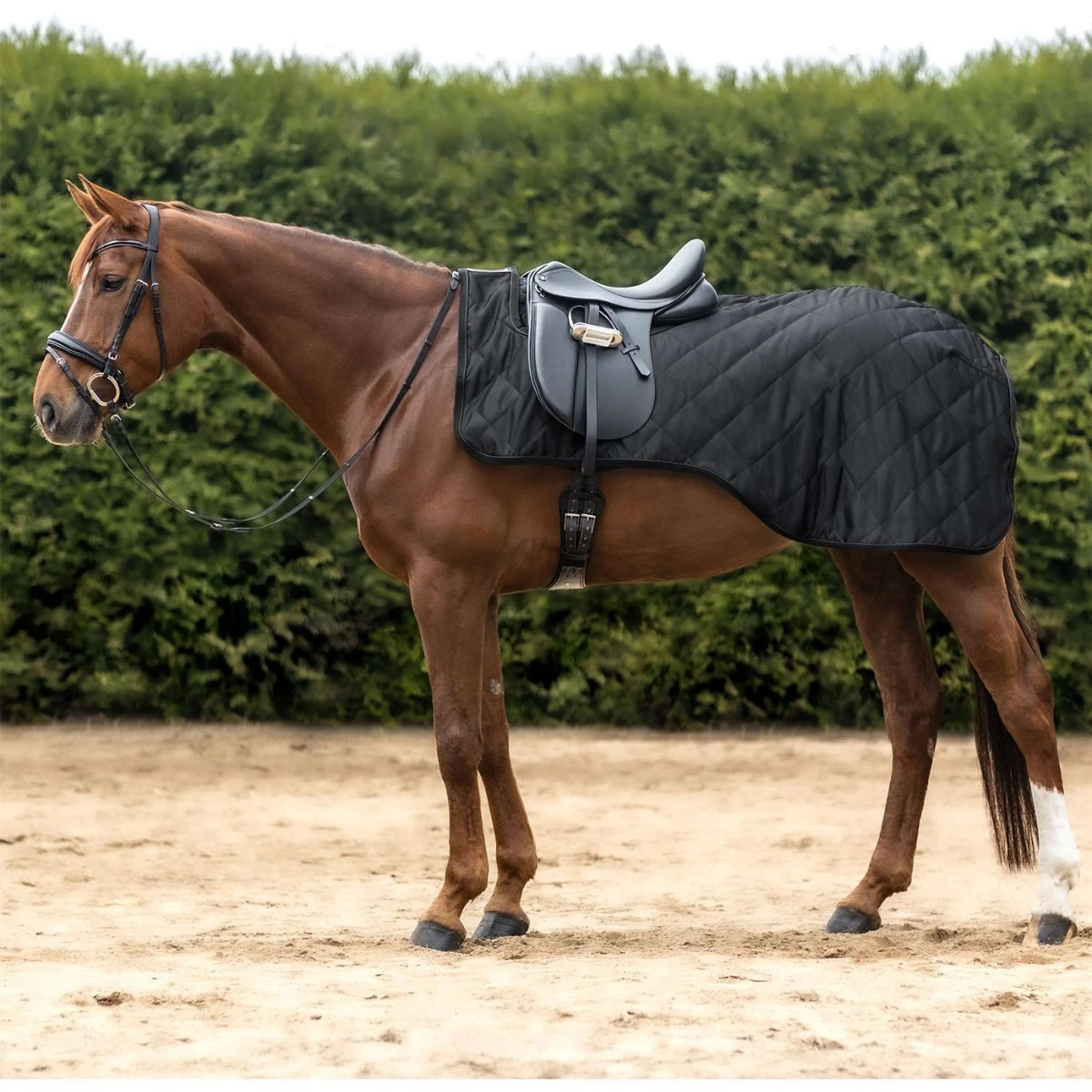 Waldhausen Coperta da esercizio Exclusive Nero