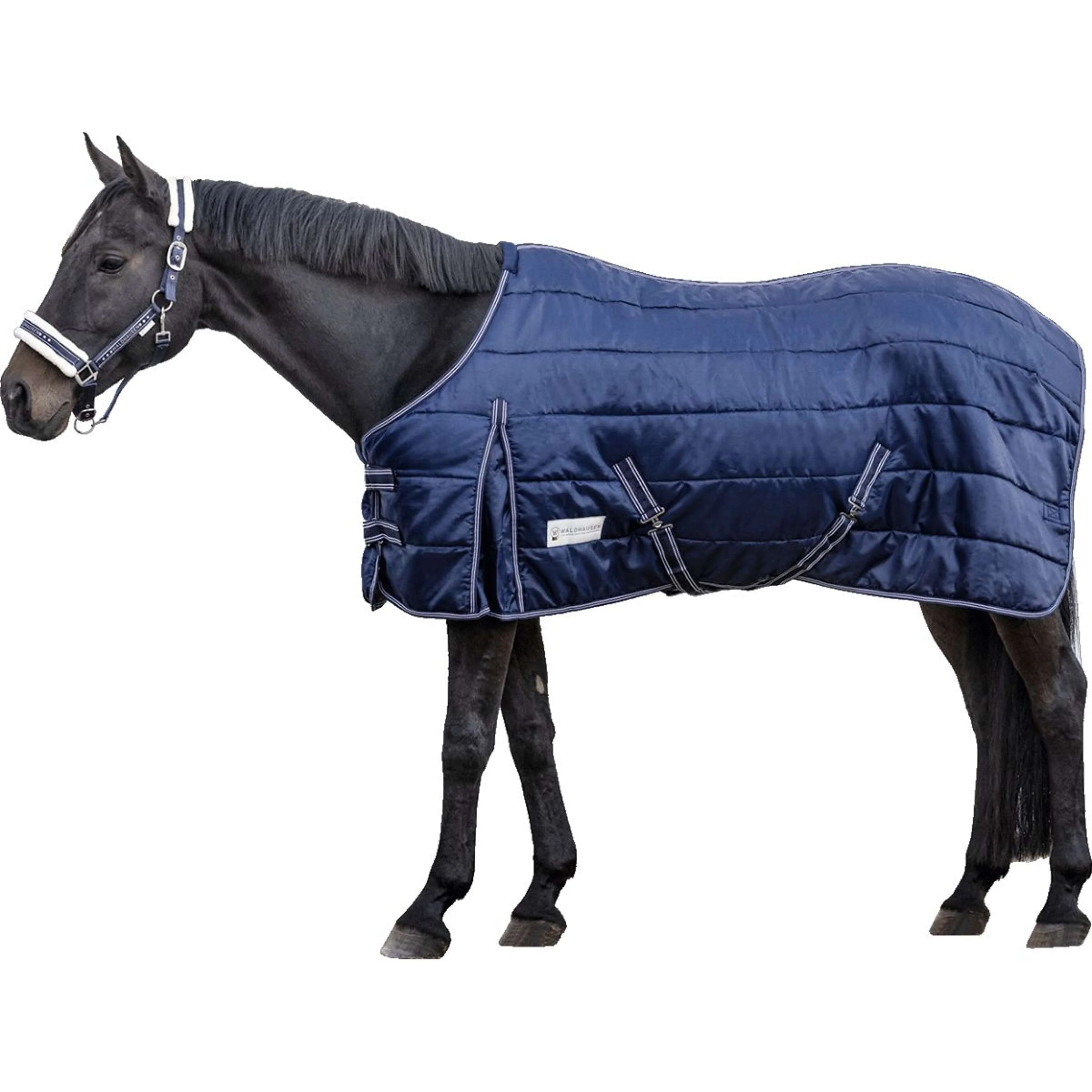Waldhausen Coperta da scuderia Economic Blu notte - Image 2