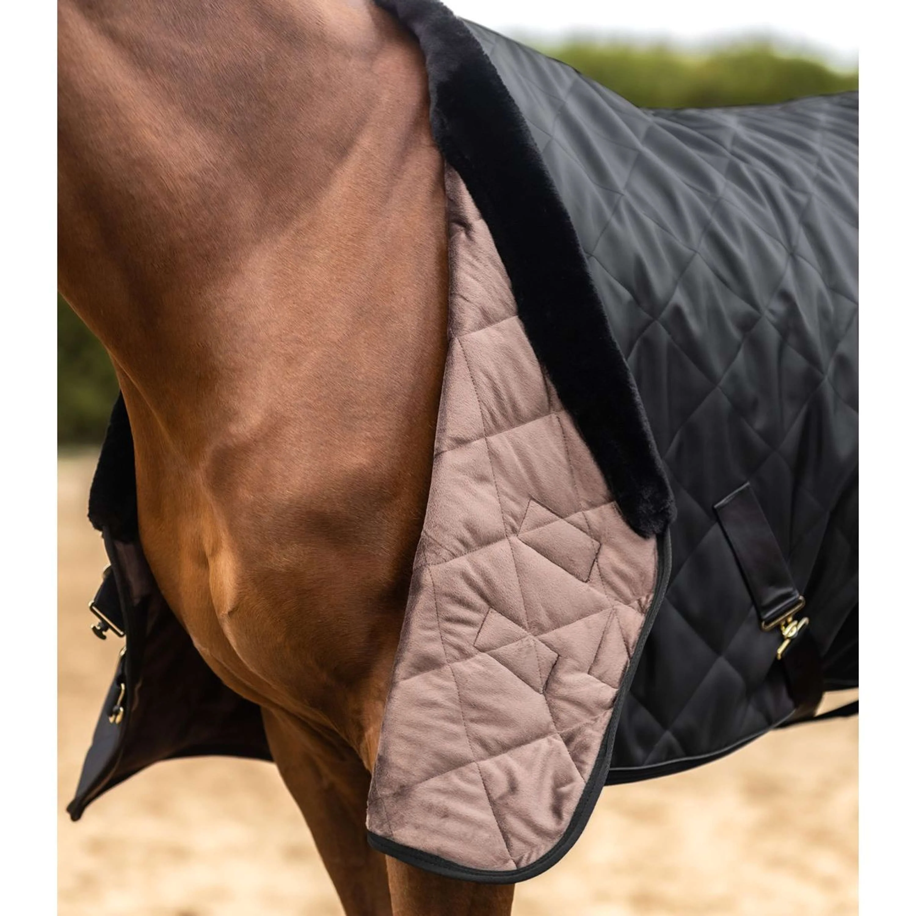 Waldhausen Coperta da Trasporto Exclusive Nero - Image 3