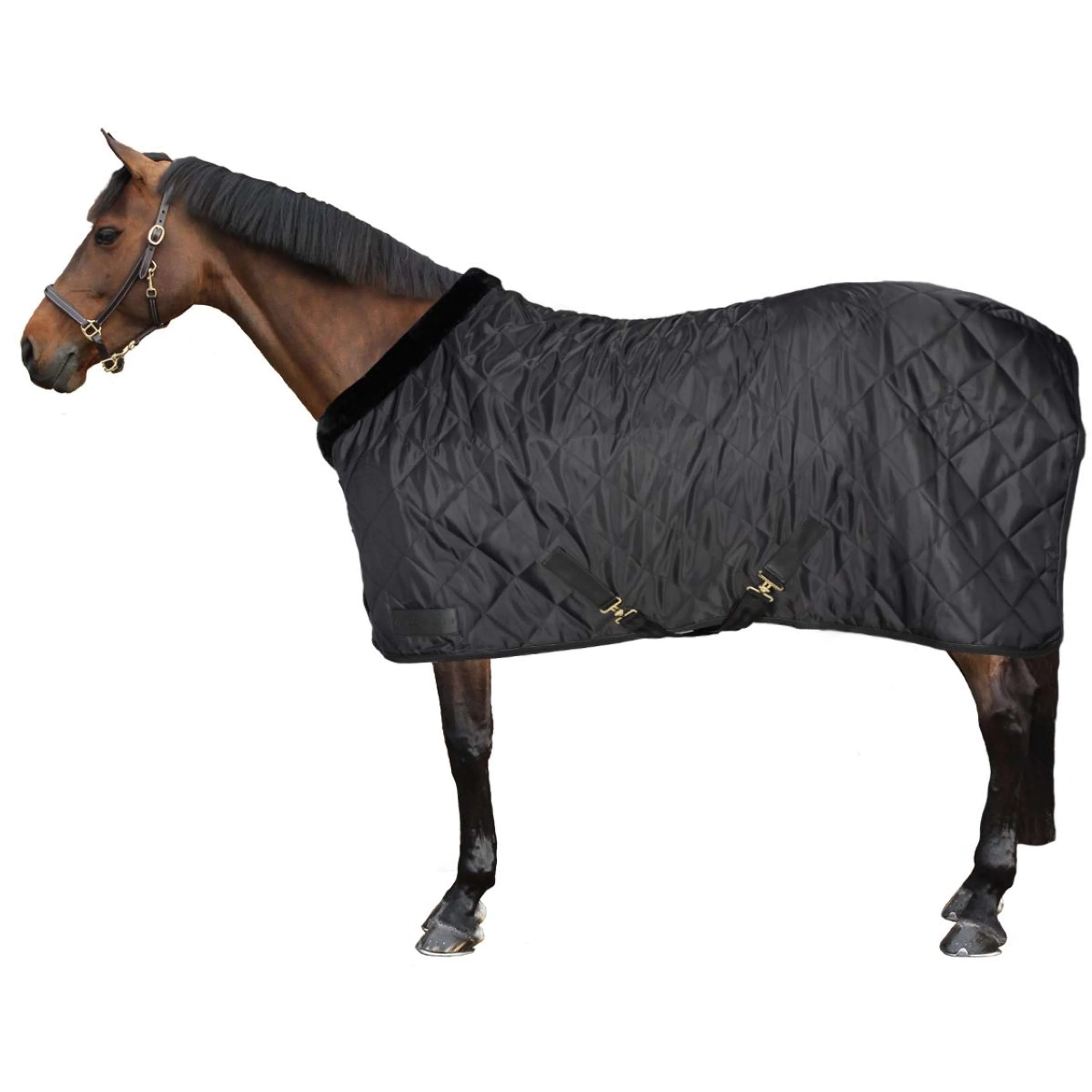 Waldhausen Coperta da Trasporto Exclusive Nero - Image 4