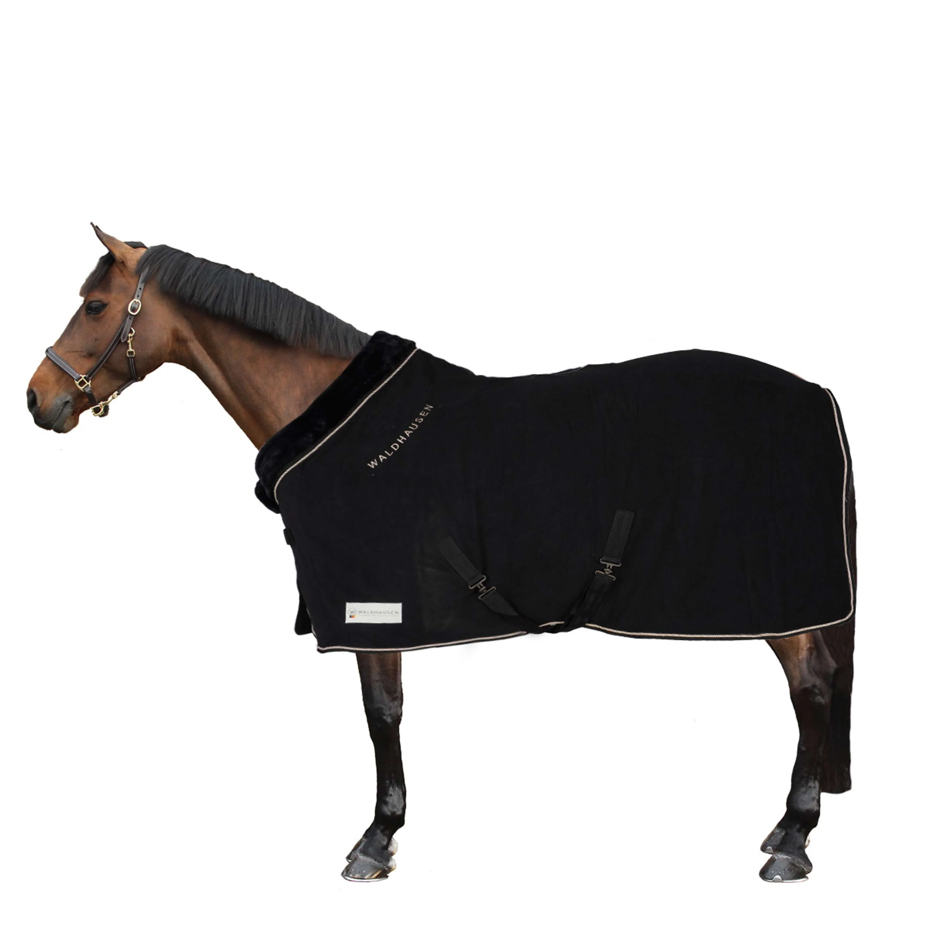 Waldhausen Coperta in Pile Modern Nero/Oro rosa - Image 4
