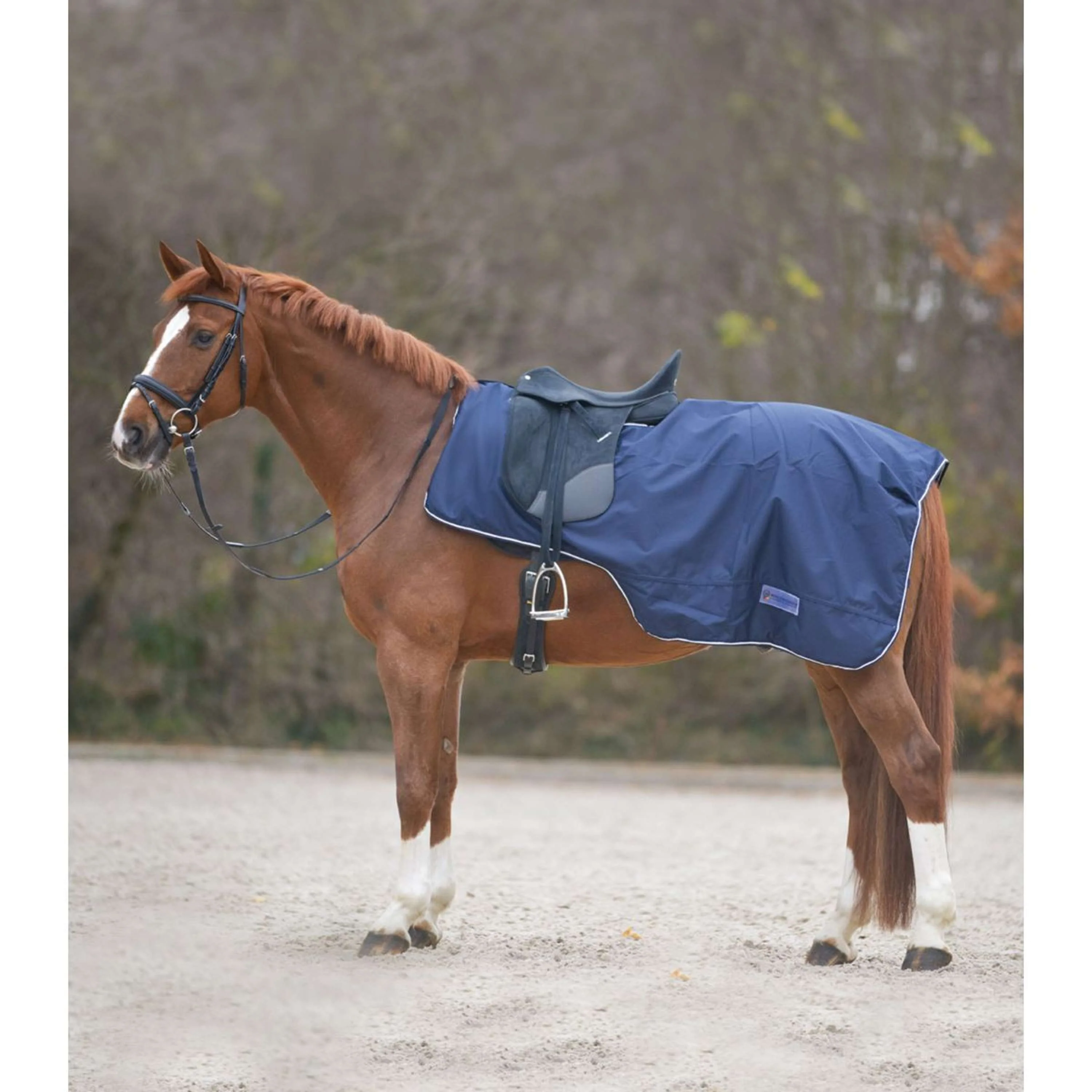 Waldhausen Coprireni impermeabile Nightblue