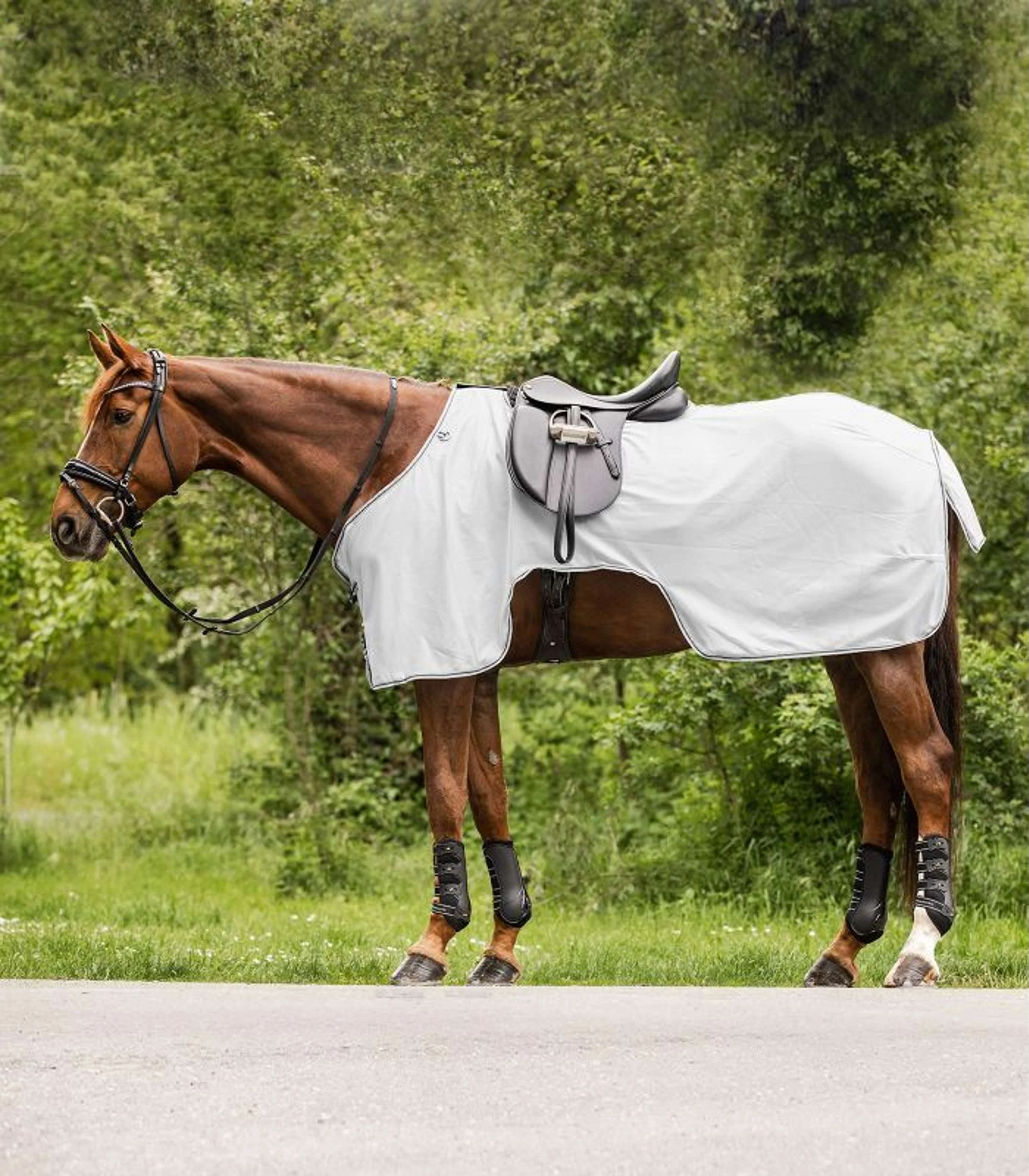 Waldhausen Fliegen-Ausreitdecke Protect Grigio argento/Grigio