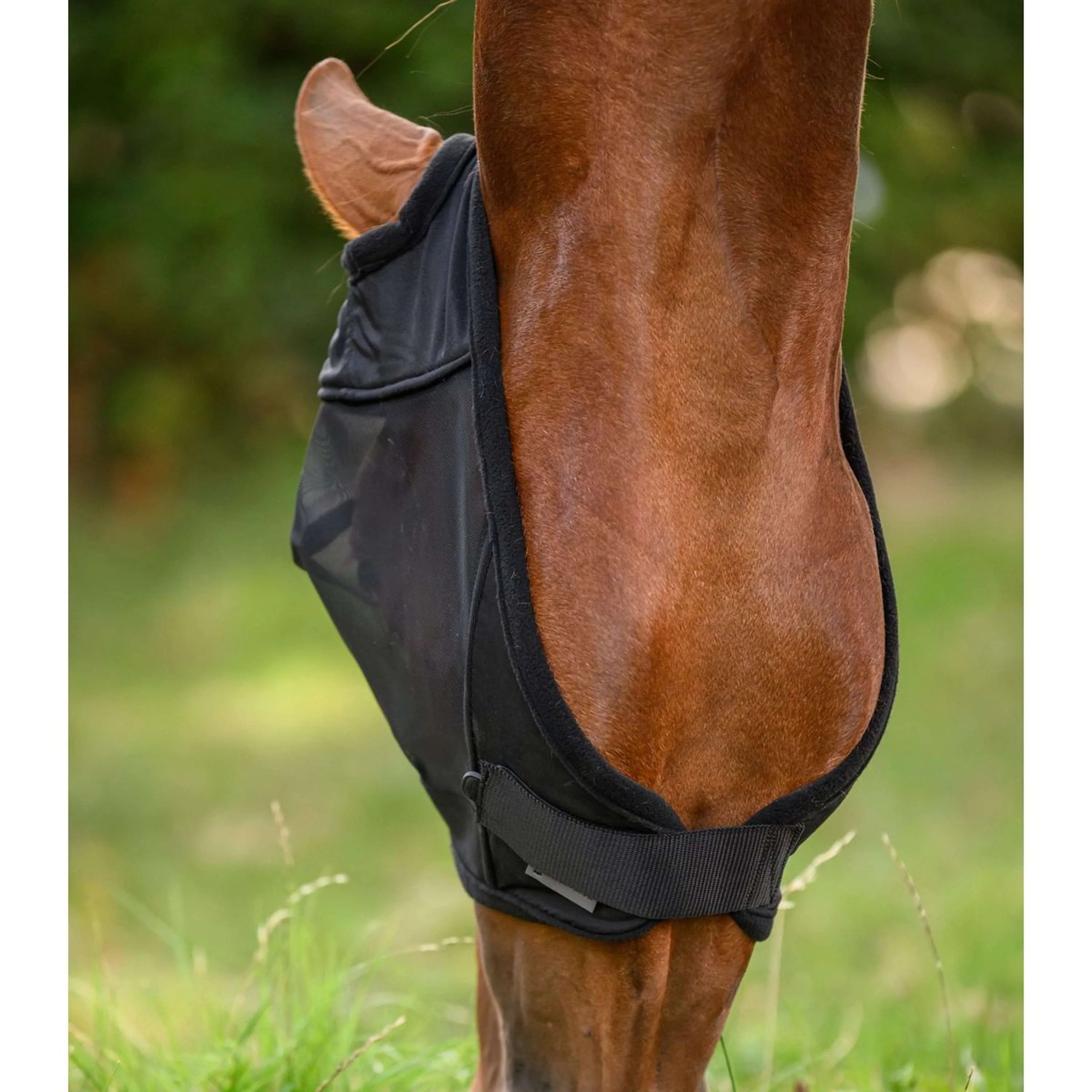 Waldhausen Maschera per Mosche Premium Senza orecchie Nero - Image 3
