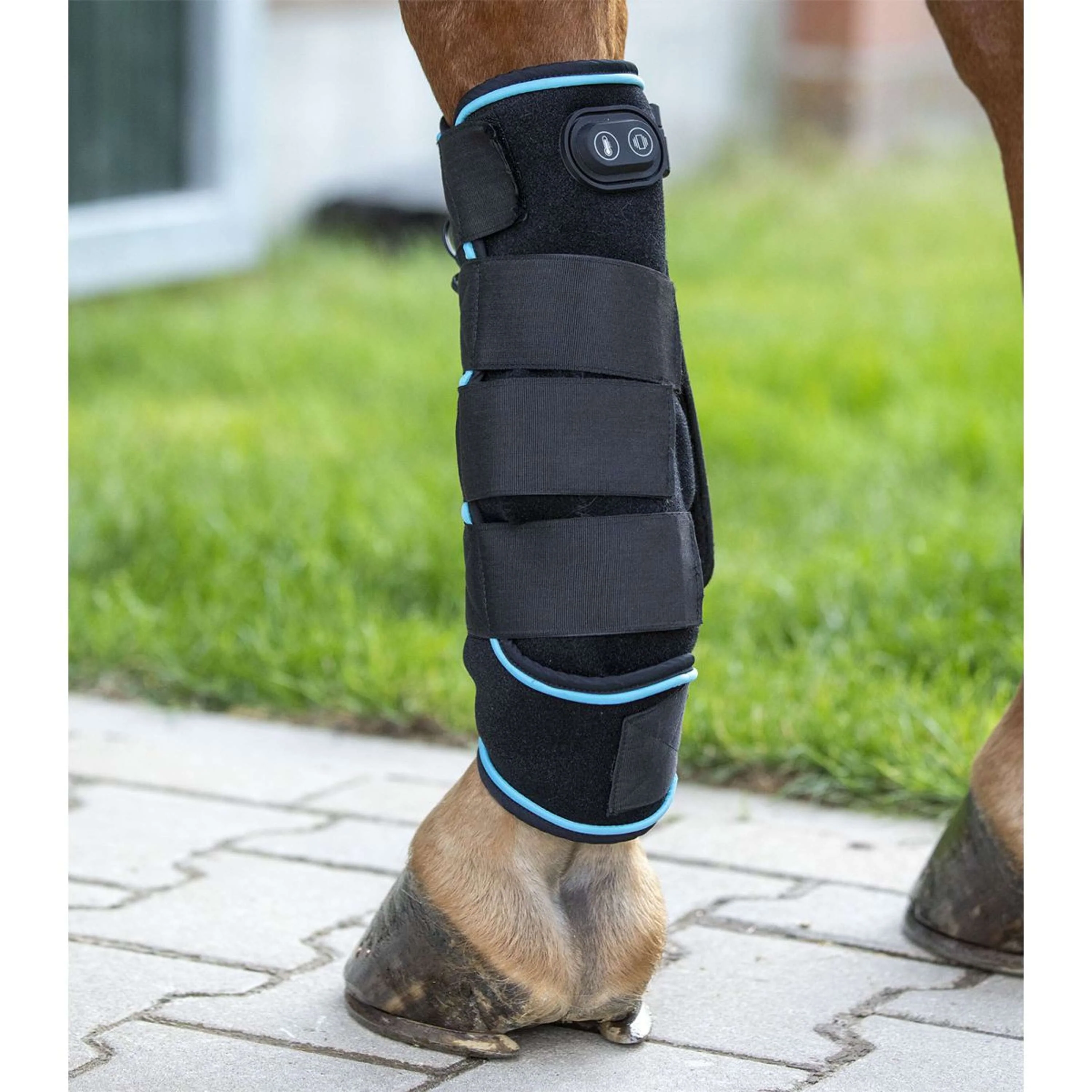 Waldhausen Protezione delle gambe Health & Care Nero - Image 2
