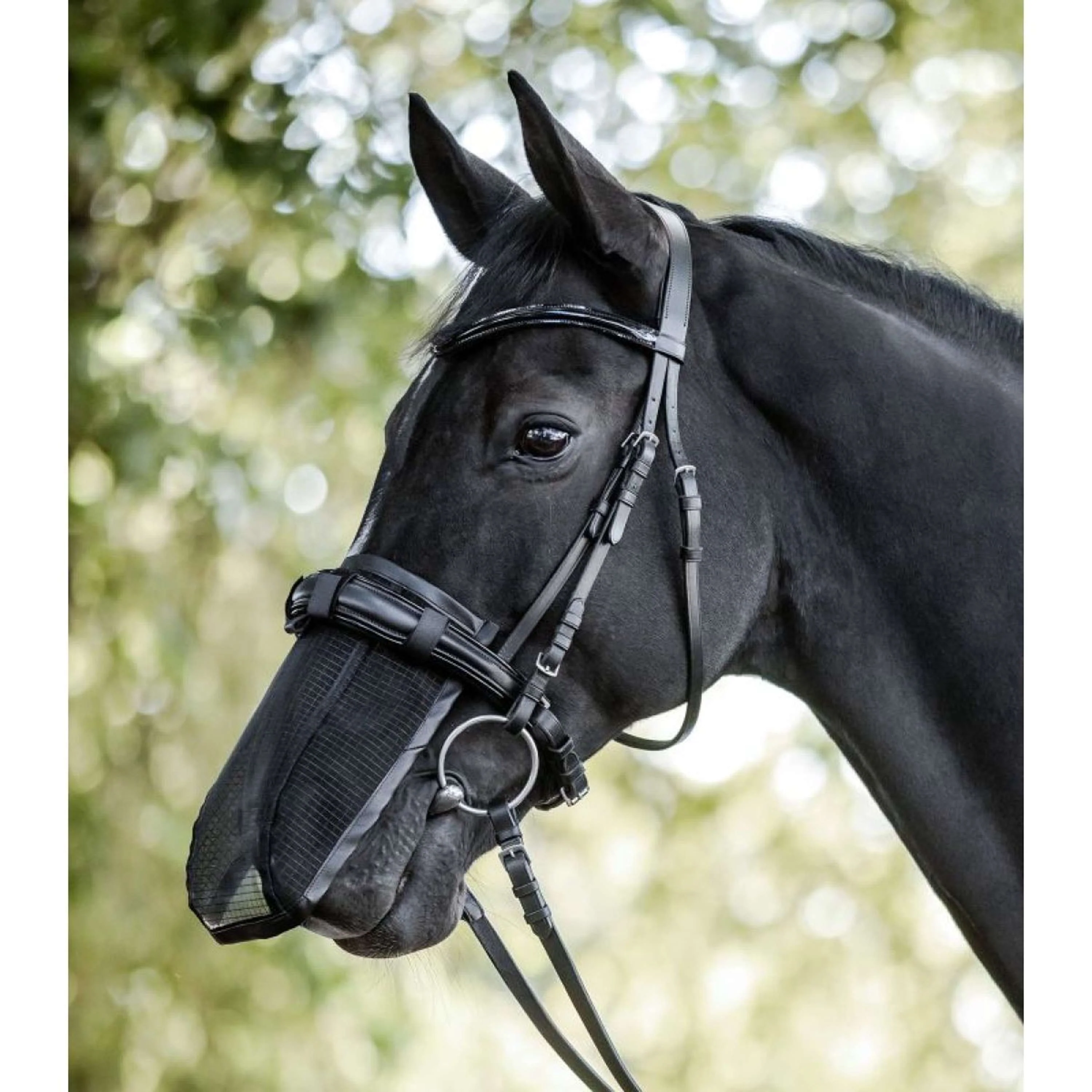 Waldhausen Rete nasale Nero