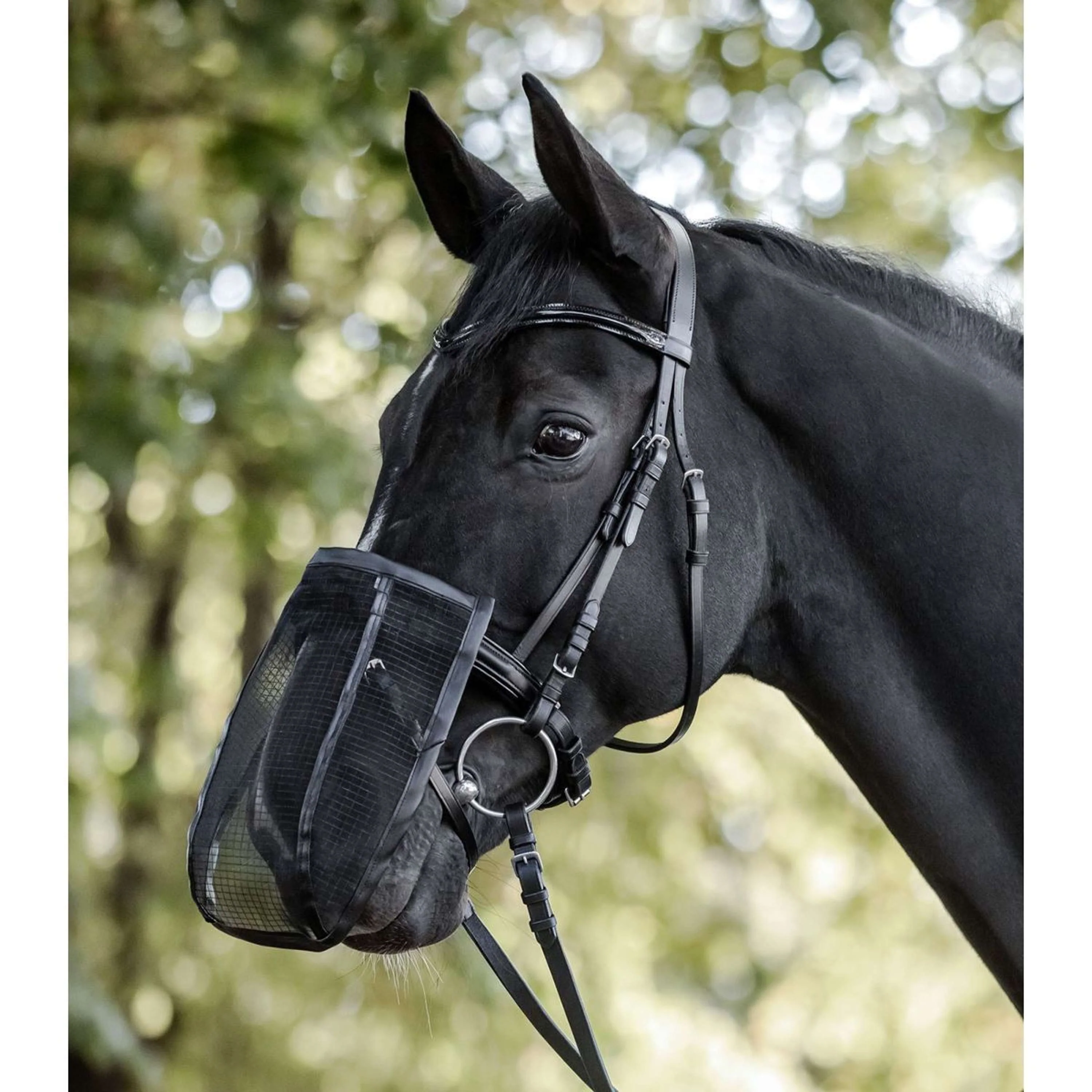 Waldhausen Rete nasale Nero - Image 2